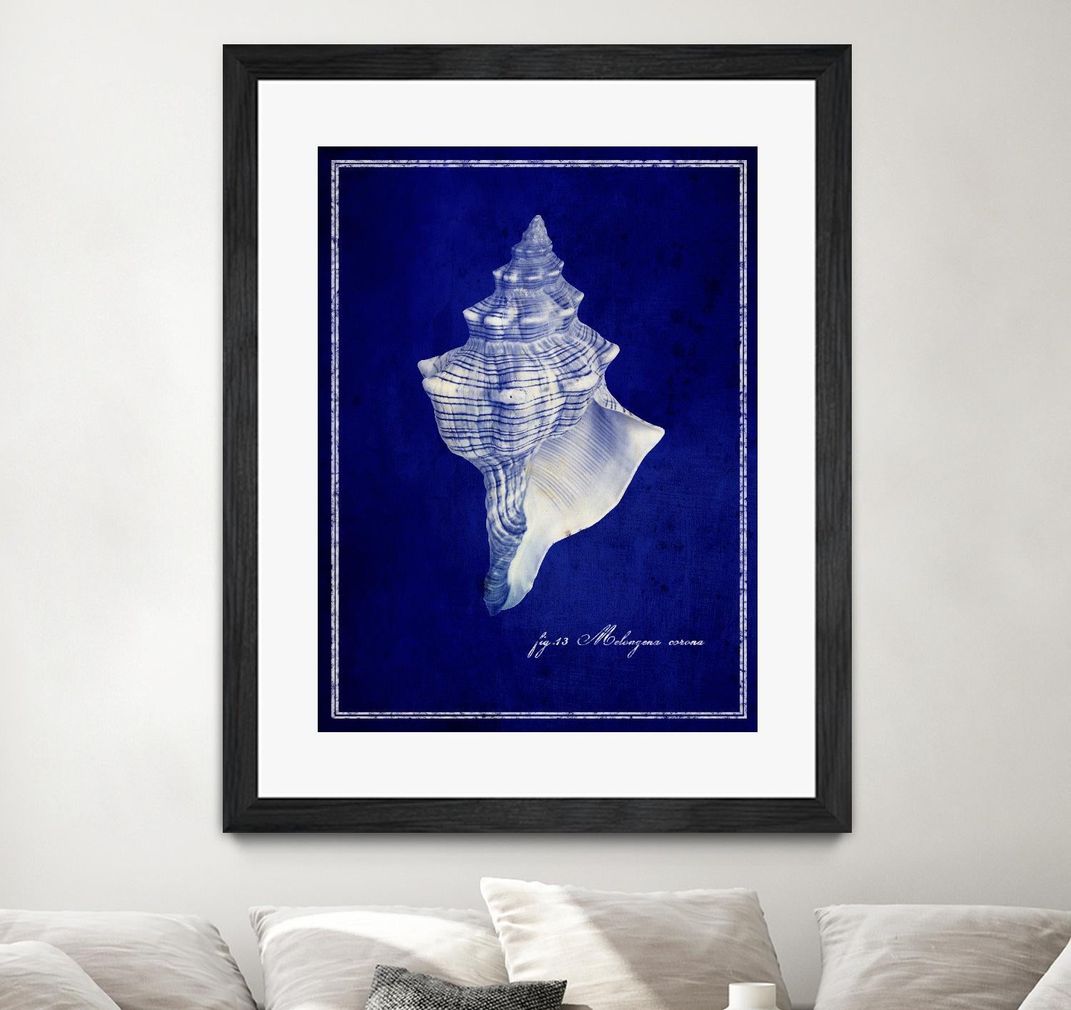 Conch Shell by GI ArtLab on GIANT ART - blue nautical
