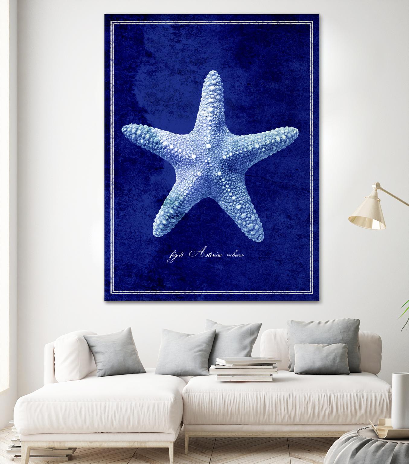 Starfish by GI ArtLab on GIANT ART - blue nautical