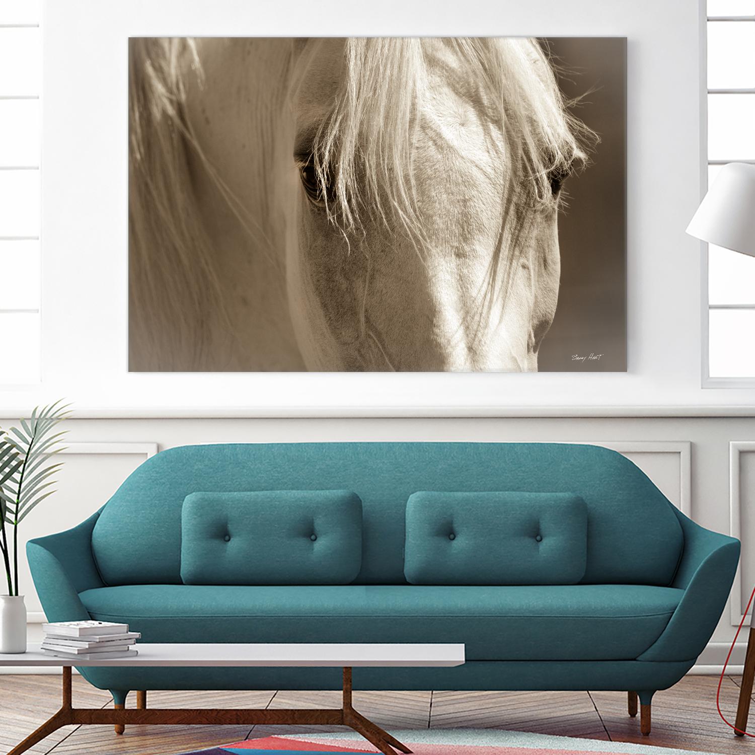 Angel Eyes by Barry Hart on GIANT ART - beige animals