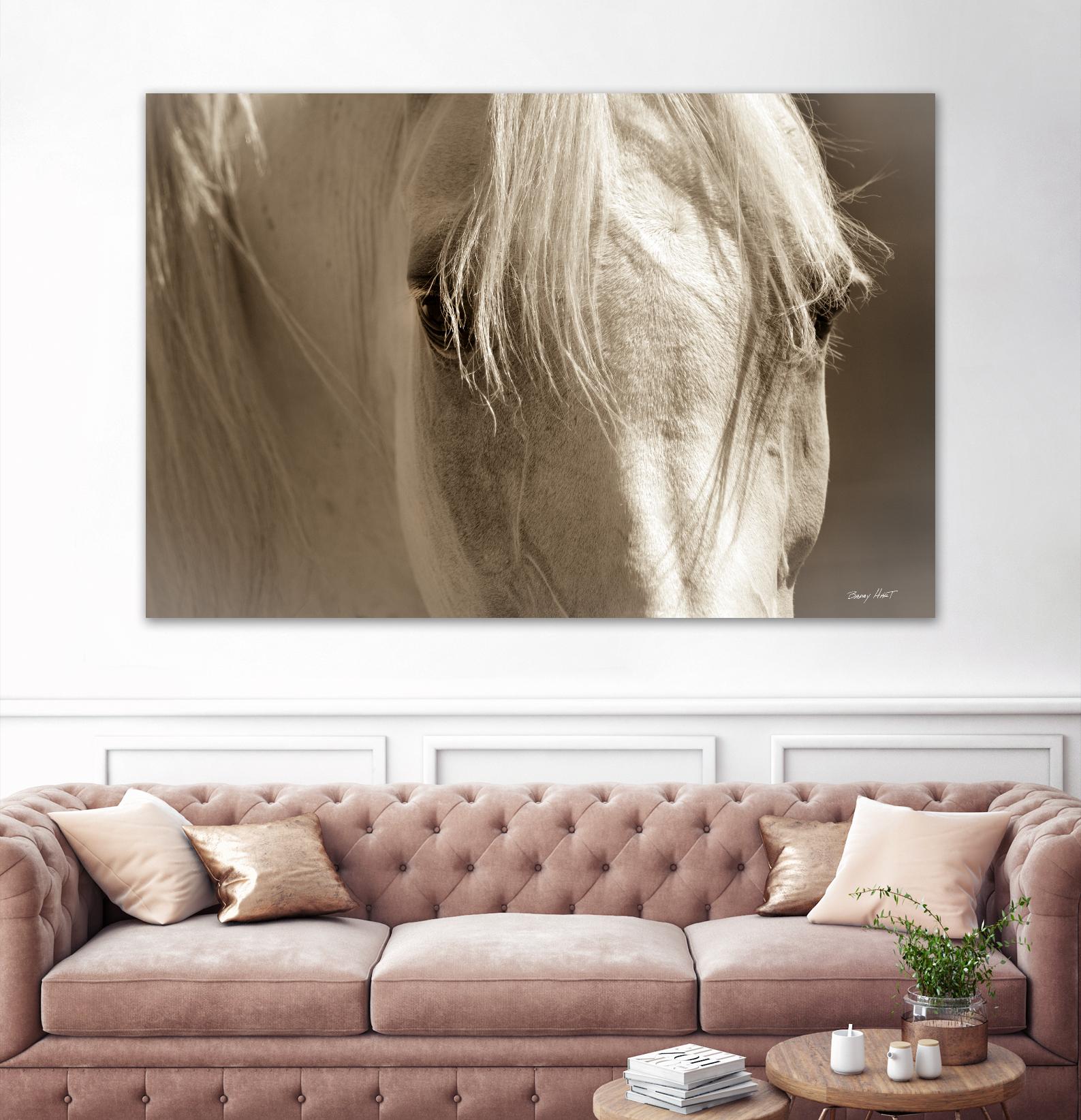 Angel Eyes by Barry Hart on GIANT ART - beige animals