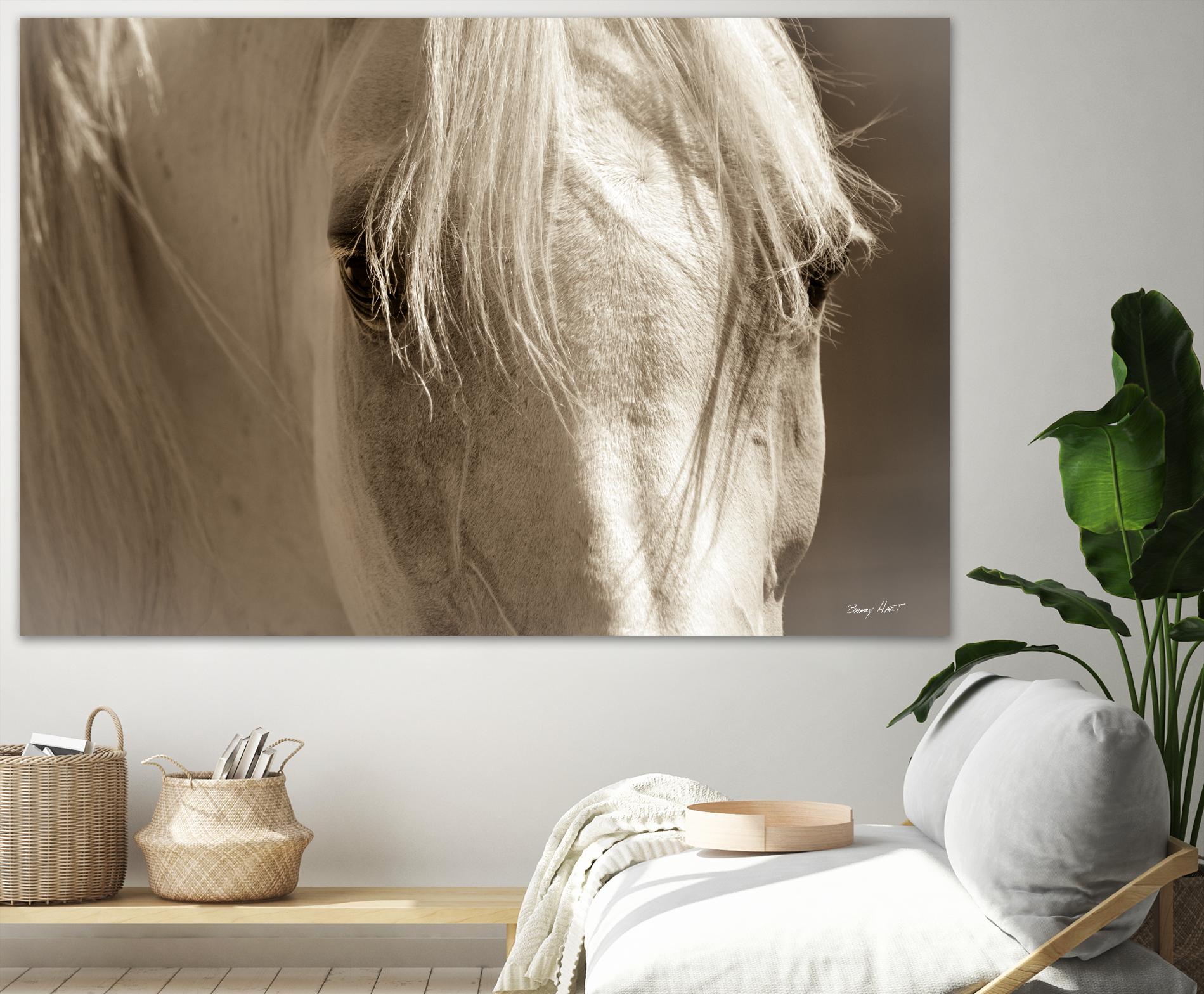 Angel Eyes by Barry Hart on GIANT ART - beige animals