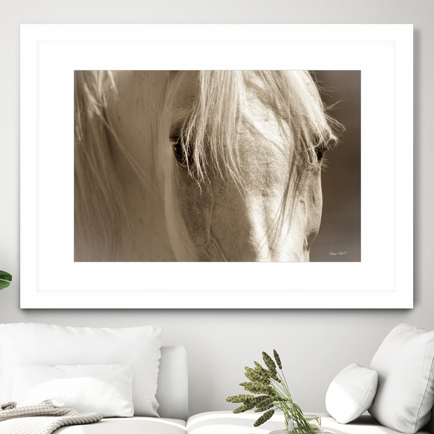 Angel Eyes by Barry Hart on GIANT ART - beige animals