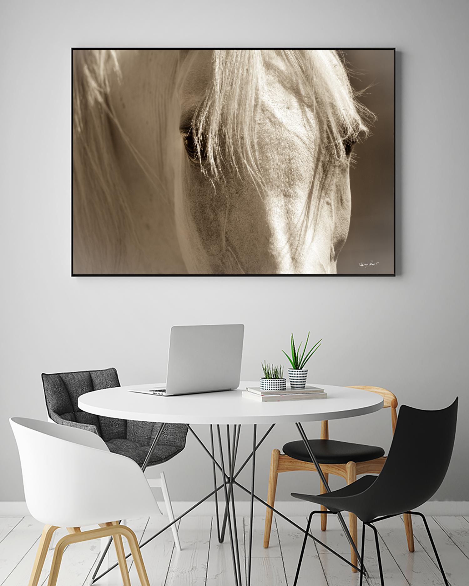 Angel Eyes by Barry Hart on GIANT ART - beige animals