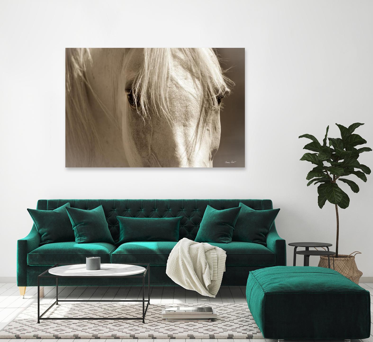 Angel Eyes by Barry Hart on GIANT ART - beige animals