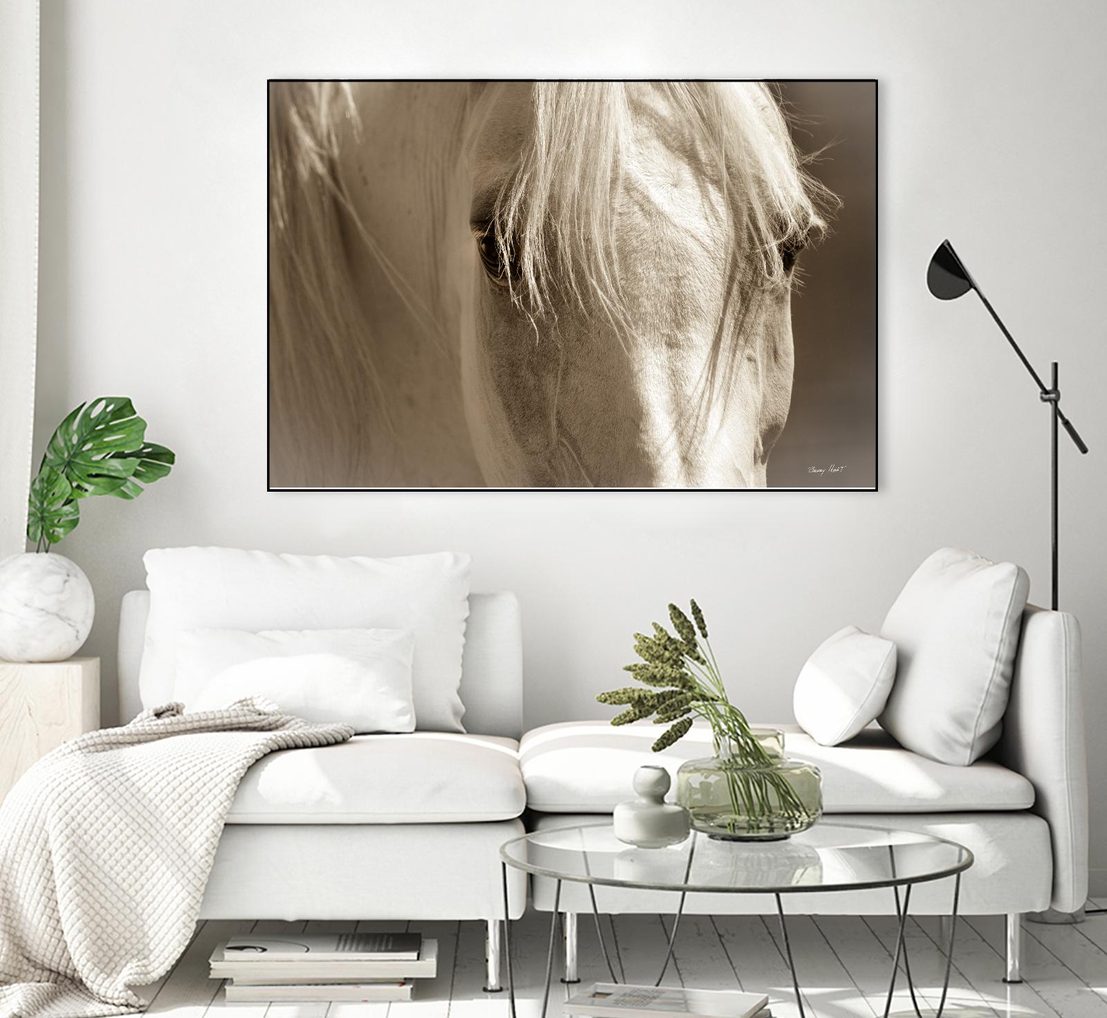 Angel Eyes by Barry Hart on GIANT ART - beige animals