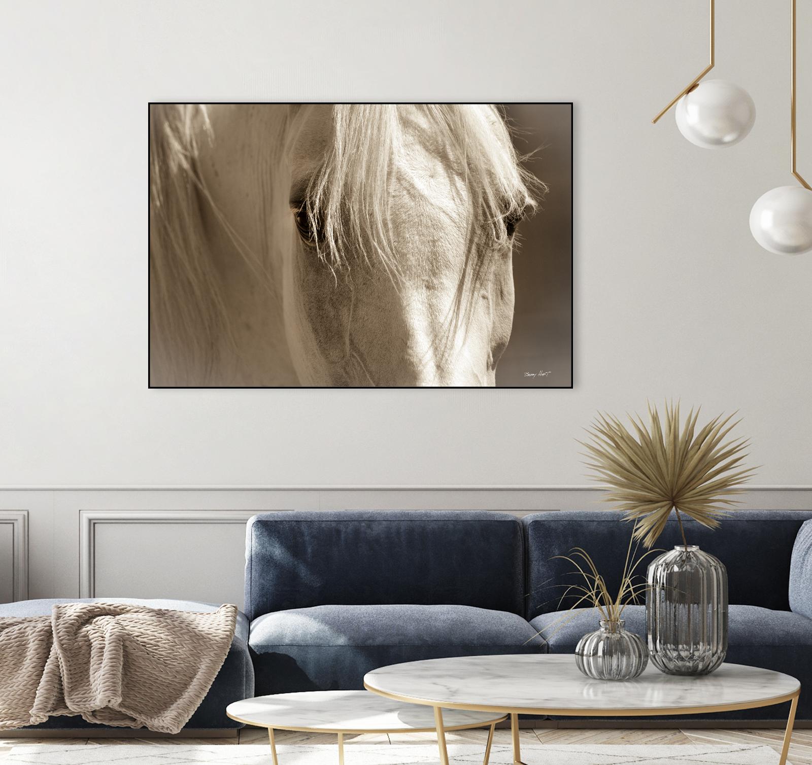 Angel Eyes by Barry Hart on GIANT ART - beige animals