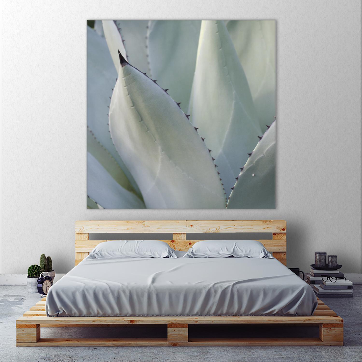 Black Tip Succulent by Karen Ussery on GIANT ART - grey botany
