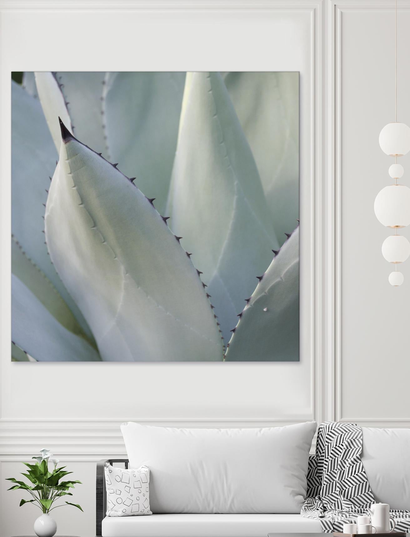 Black Tip Succulent by Karen Ussery on GIANT ART - grey botany