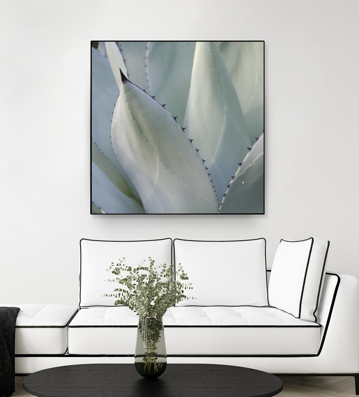Black Tip Succulent by Karen Ussery on GIANT ART - grey botany