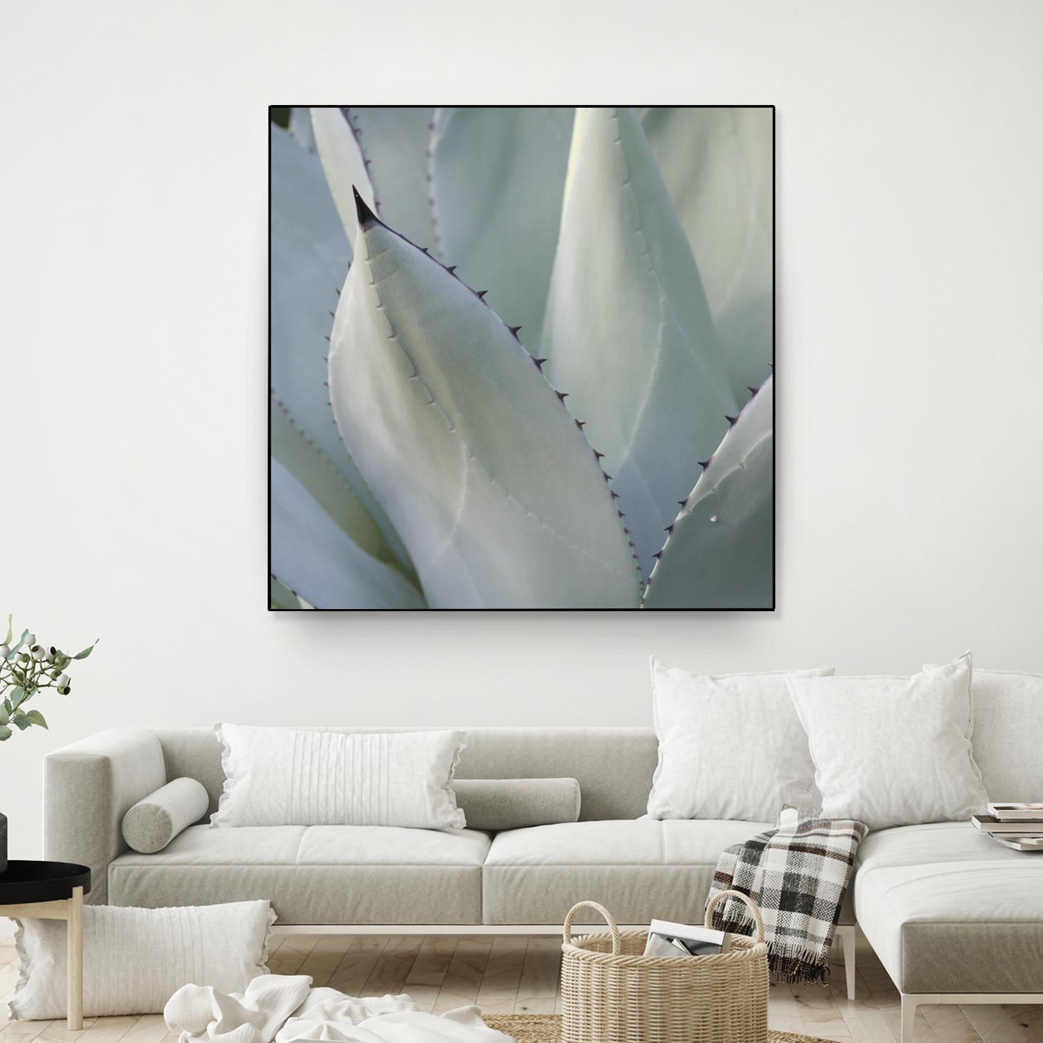 Black Tip Succulent by Karen Ussery on GIANT ART - grey botany