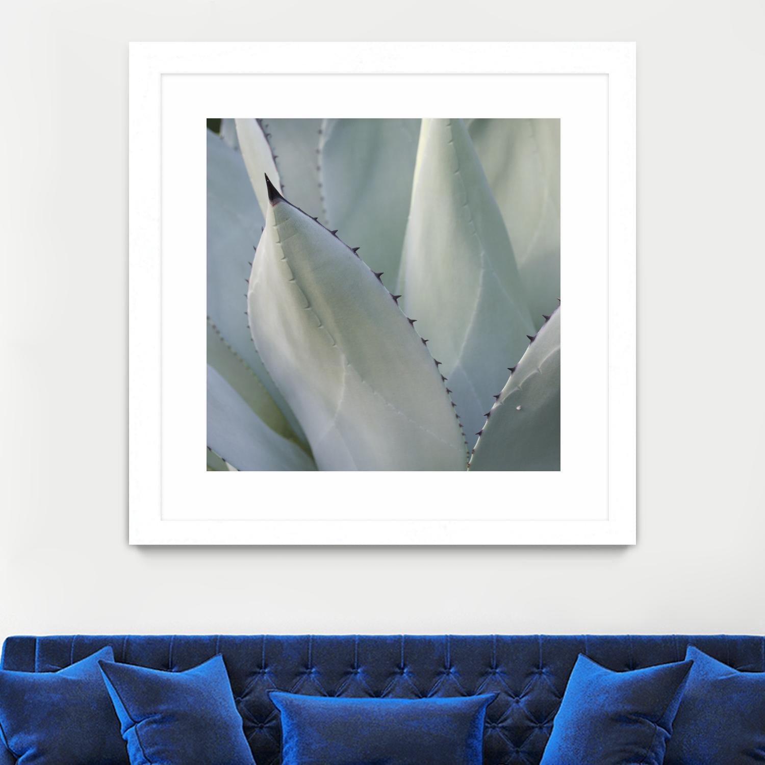Black Tip Succulent by Karen Ussery on GIANT ART - grey botany