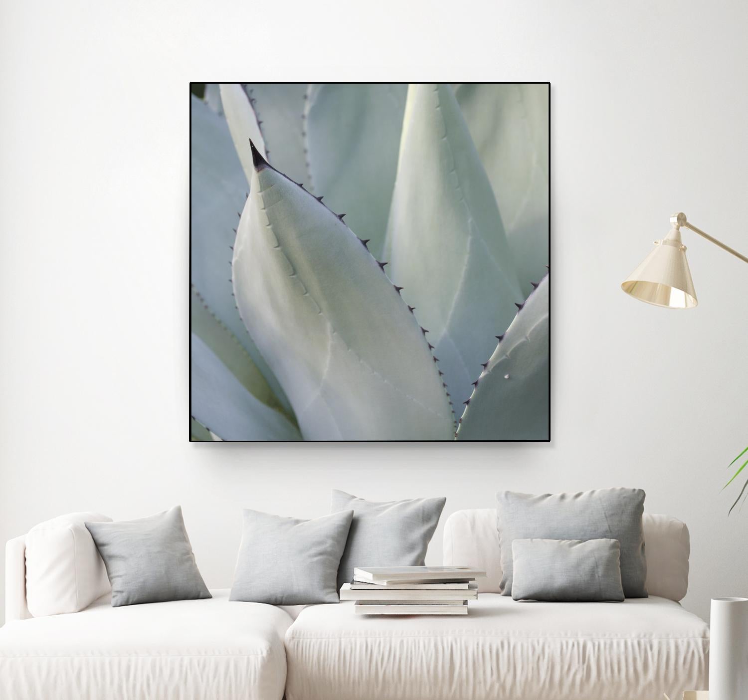Black Tip Succulent by Karen Ussery on GIANT ART - grey botany