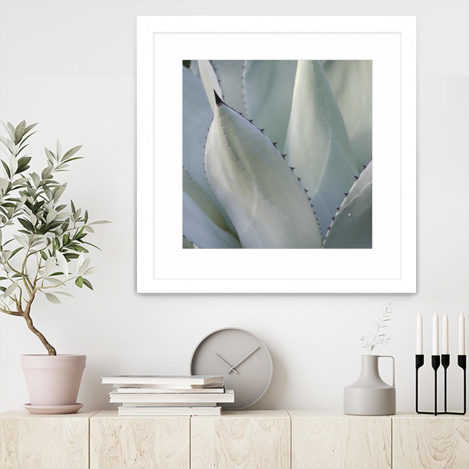 Black Tip Succulent by Karen Ussery on GIANT ART - grey botany