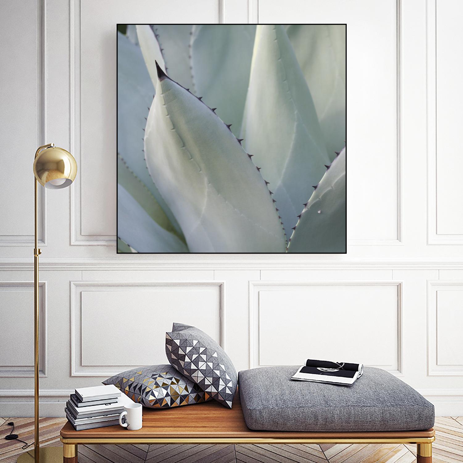 Black Tip Succulent by Karen Ussery on GIANT ART - grey botany