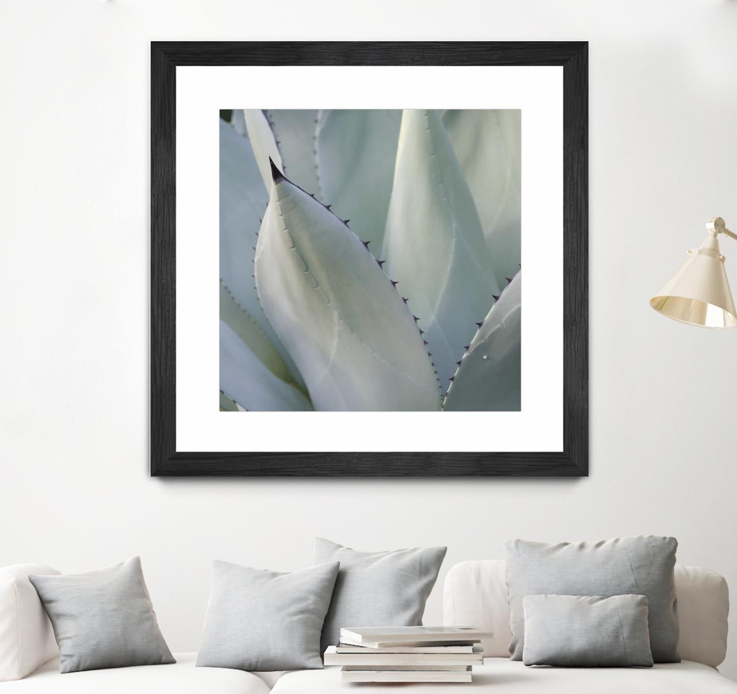 Black Tip Succulent by Karen Ussery on GIANT ART - grey botany