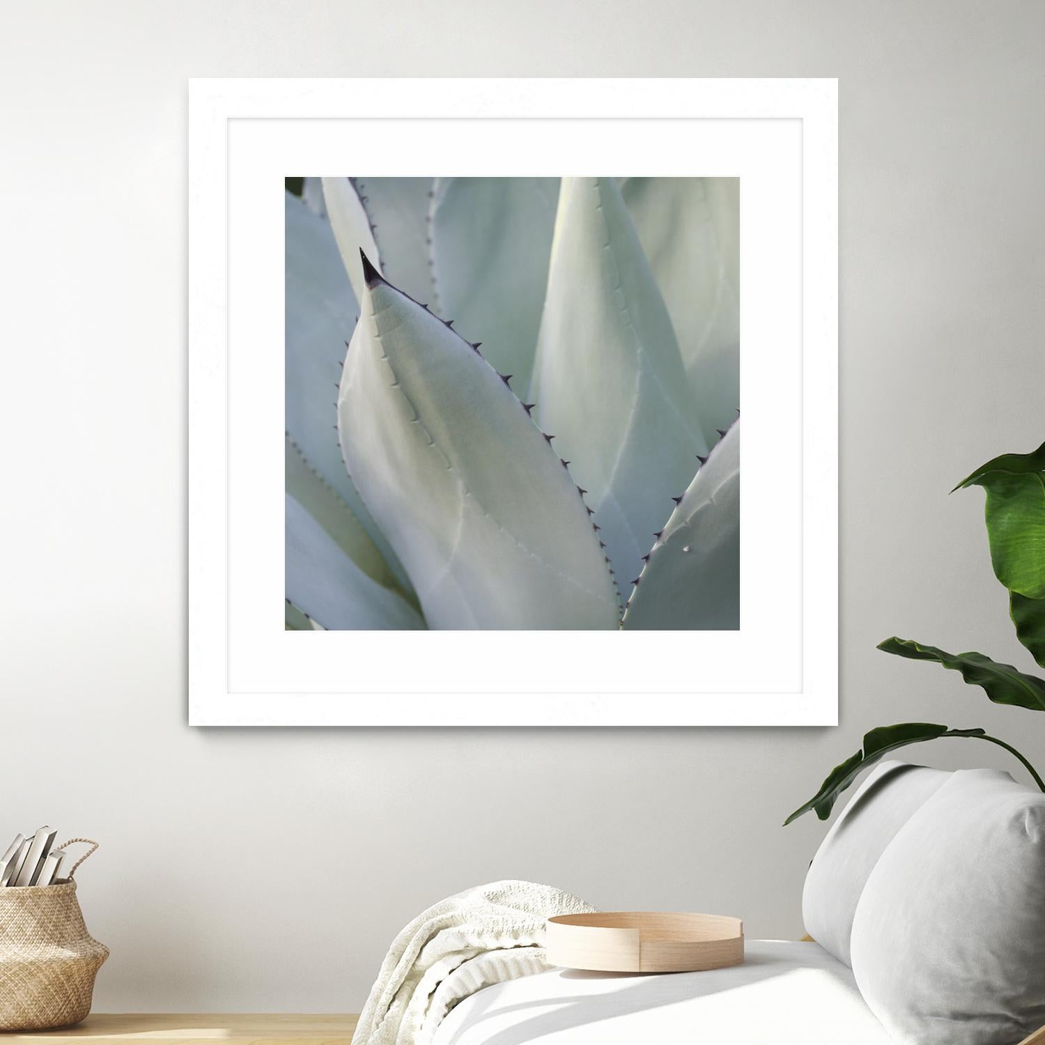 Black Tip Succulent by Karen Ussery on GIANT ART - grey botany