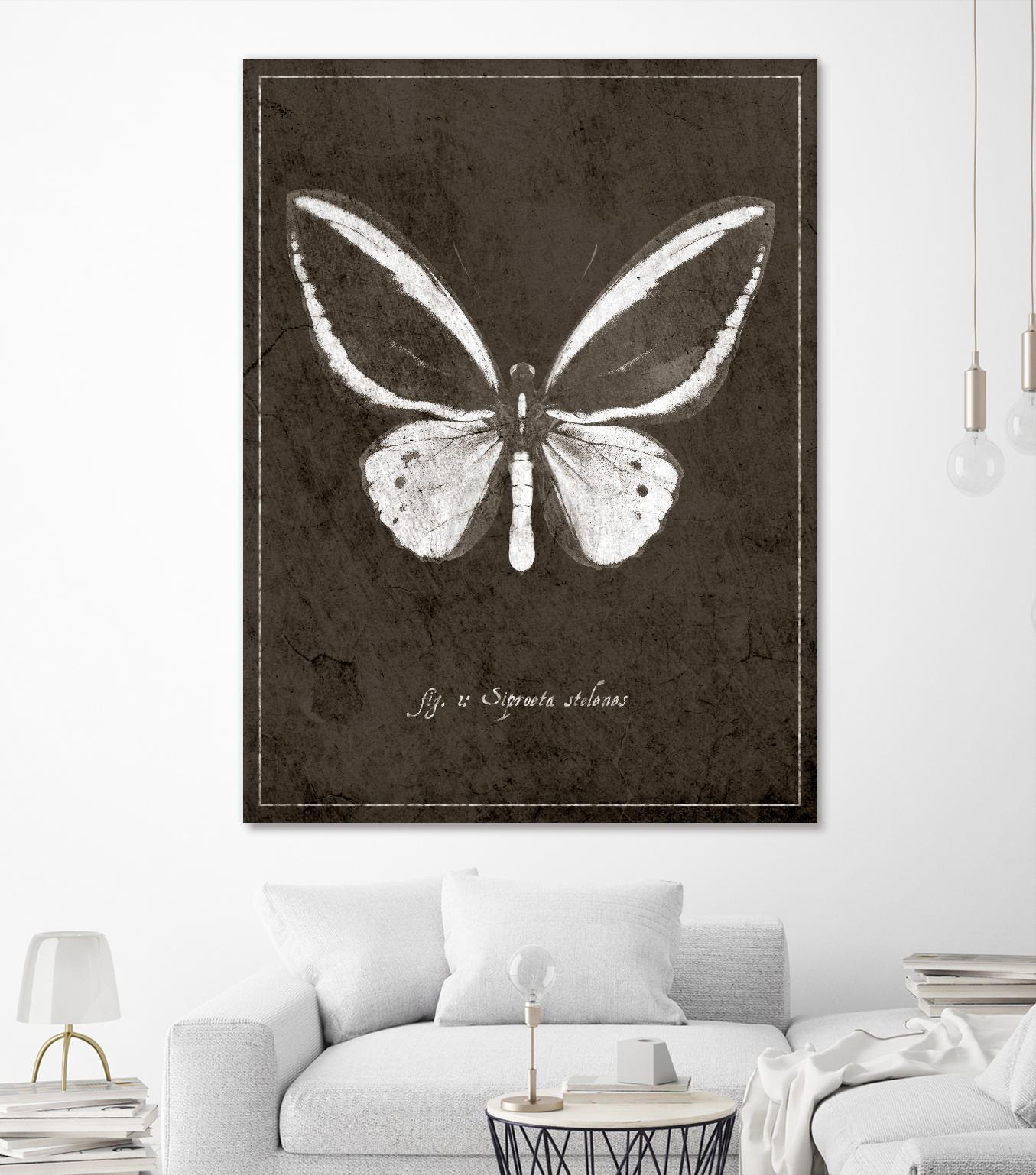 Butterfly I by GI ArtLab on GIANT ART - white botany