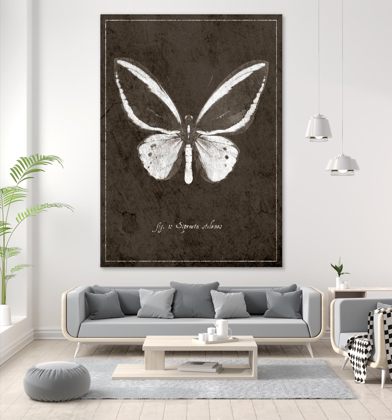 Butterfly I by GI ArtLab on GIANT ART - white botany