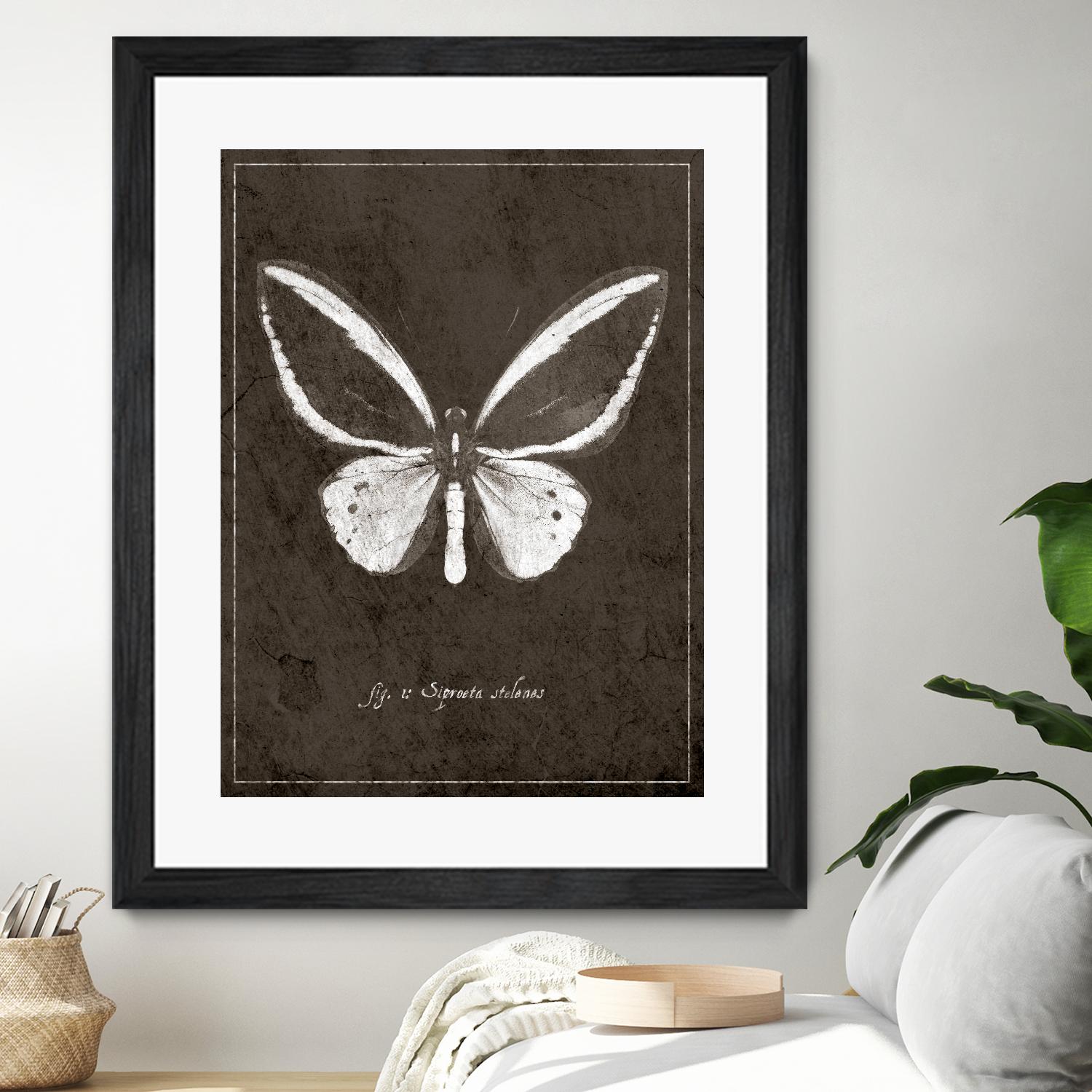 Butterfly I by GI ArtLab on GIANT ART - white botany