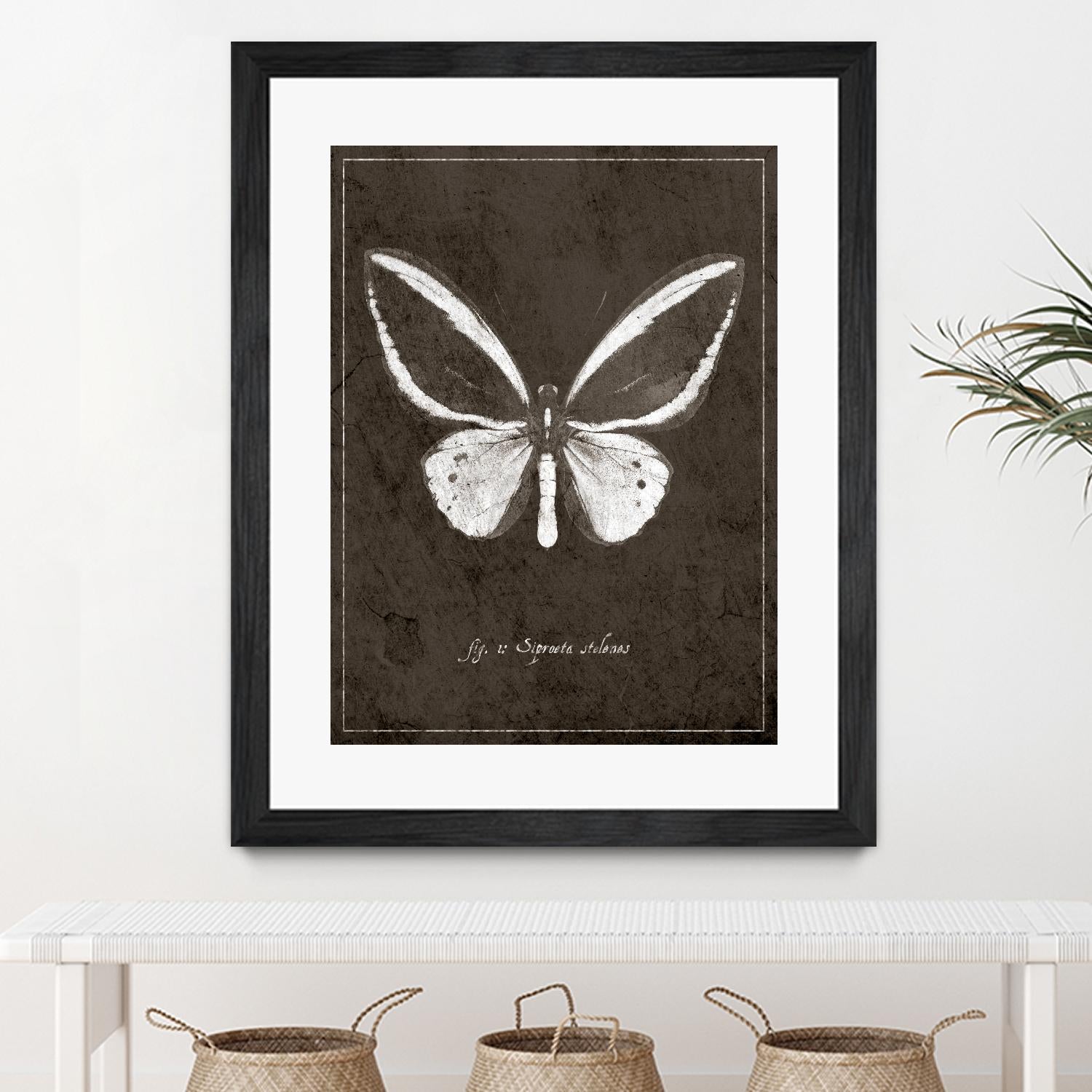 Butterfly I by GI ArtLab on GIANT ART - white botany