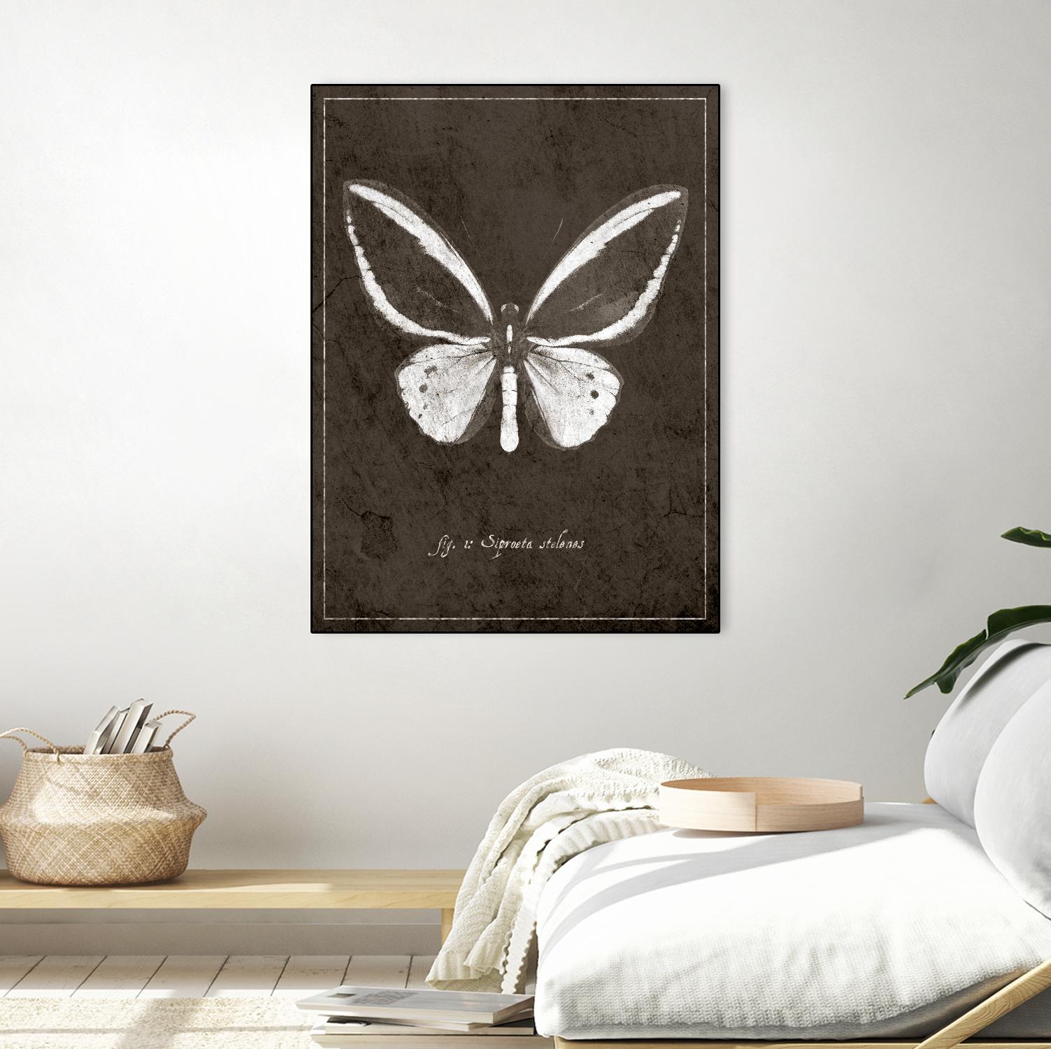 Butterfly I by GI ArtLab on GIANT ART - white botany