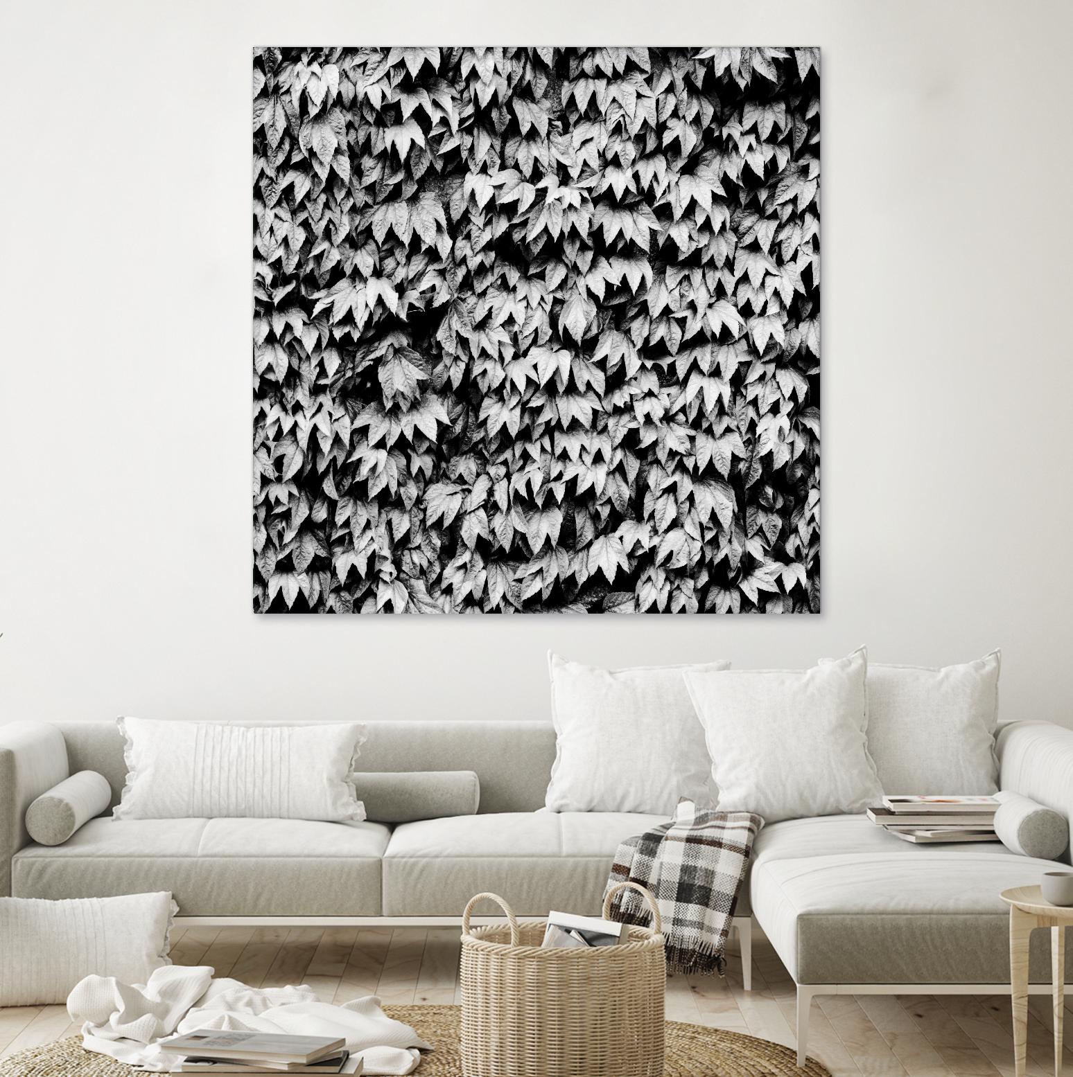 Wall of Leaves by Kyle Goldie on GIANT ART - white photo art