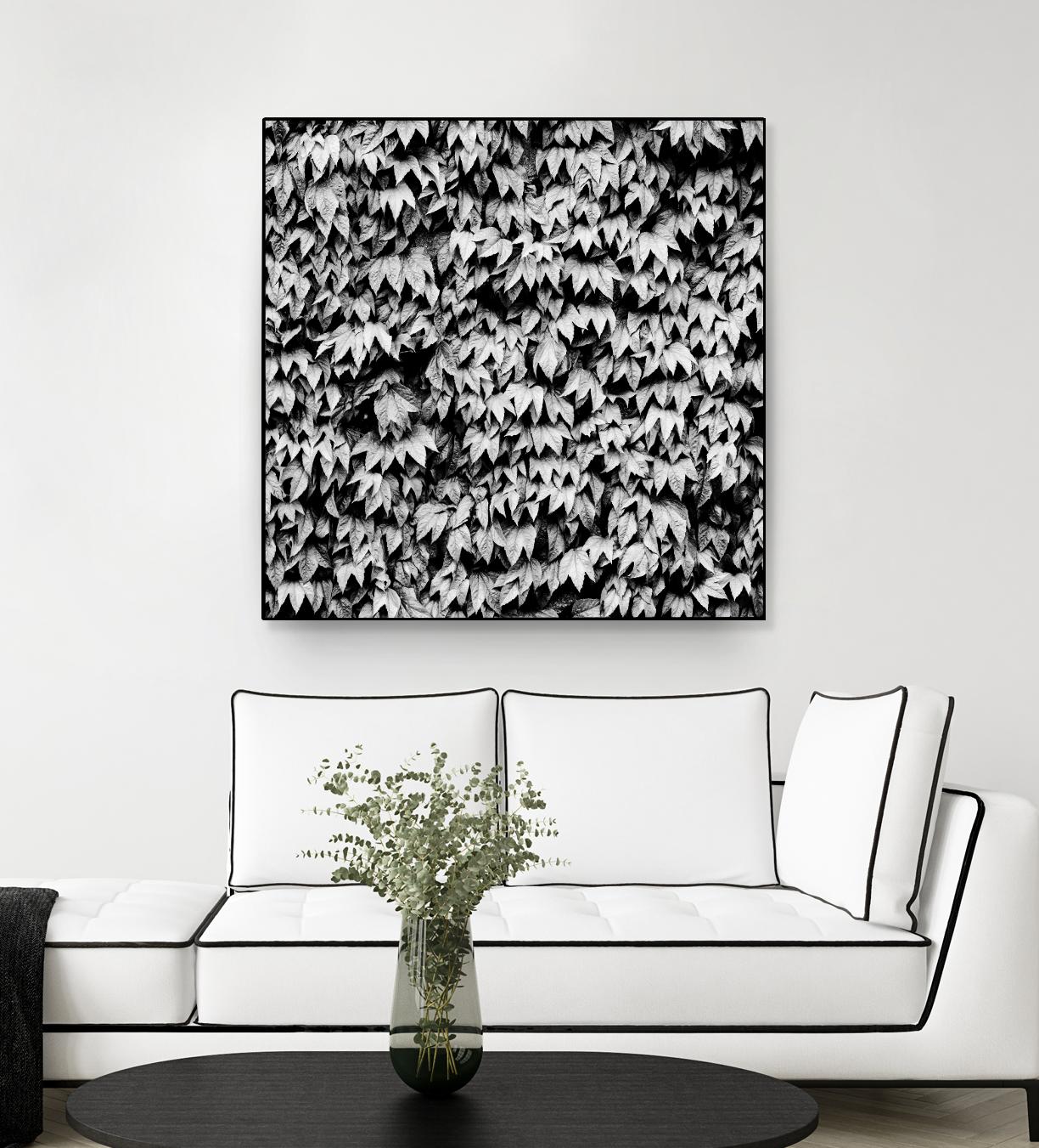 Wall of Leaves by Kyle Goldie on GIANT ART - white photo art