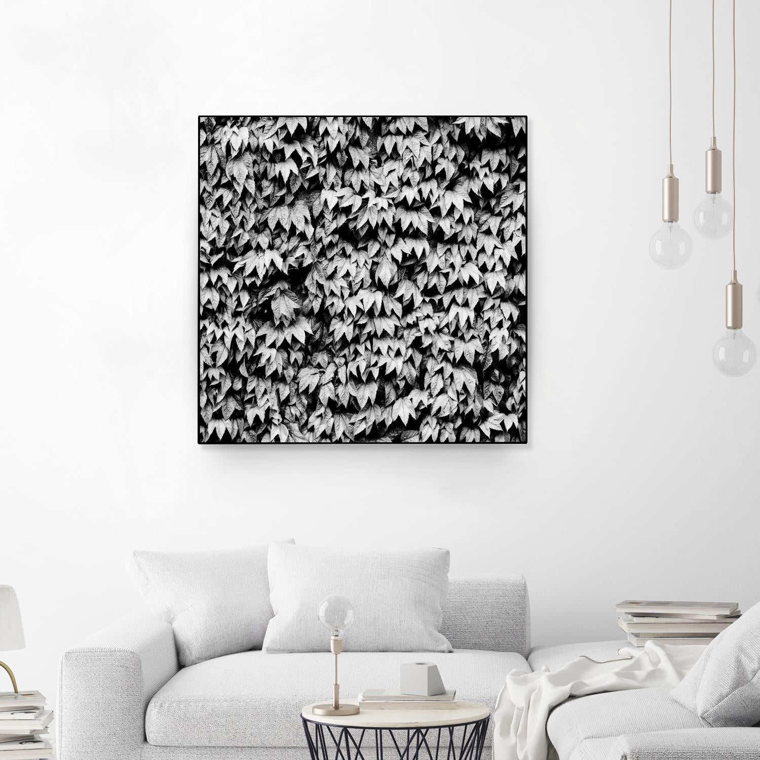 Wall of Leaves by Kyle Goldie on GIANT ART - white photo art