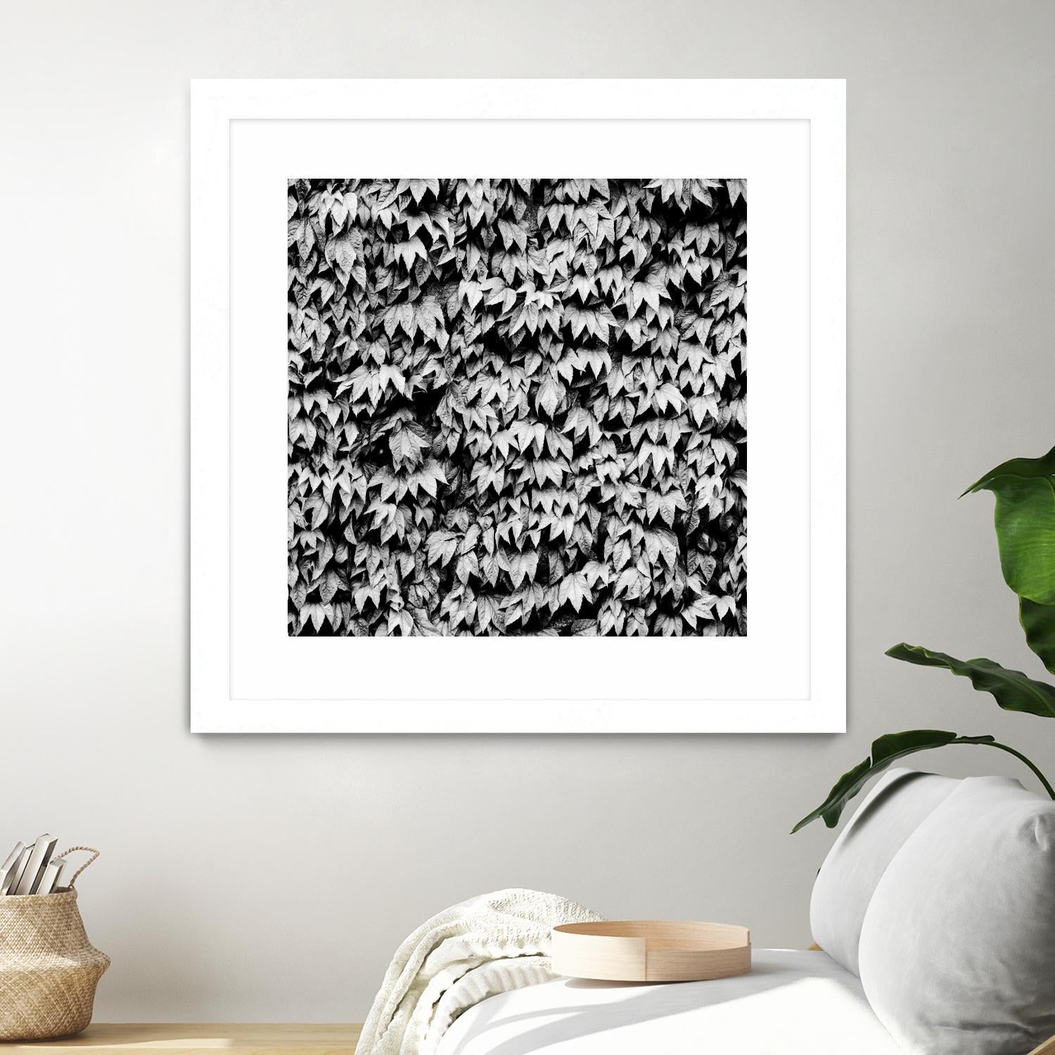 Wall of Leaves by Kyle Goldie on GIANT ART - white photo art