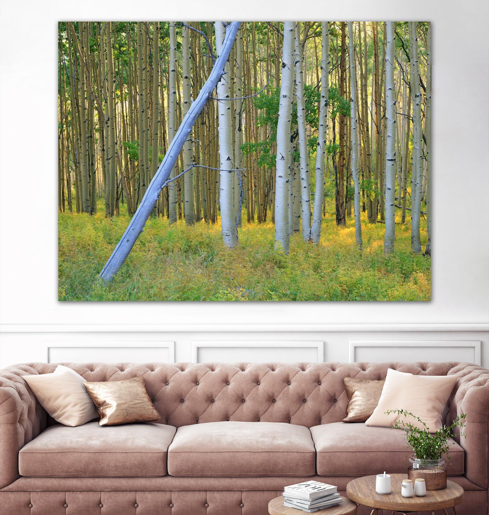 Aspen 2 by Robert Hansen on GIANT ART - white landscape