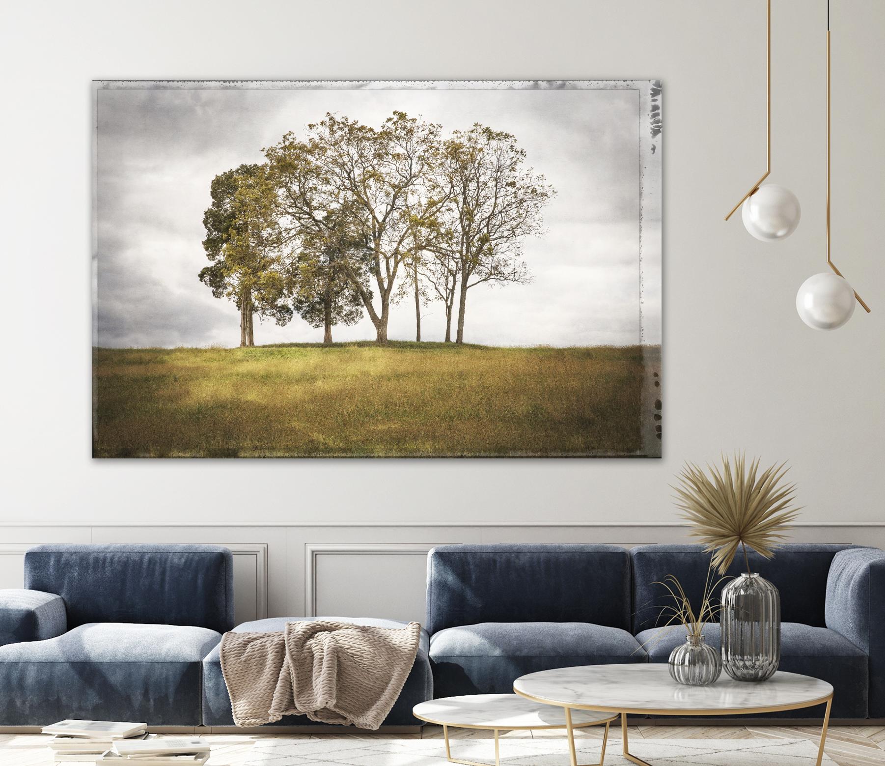 Three Trees by Lillis Werder on GIANT ART - gold landscape