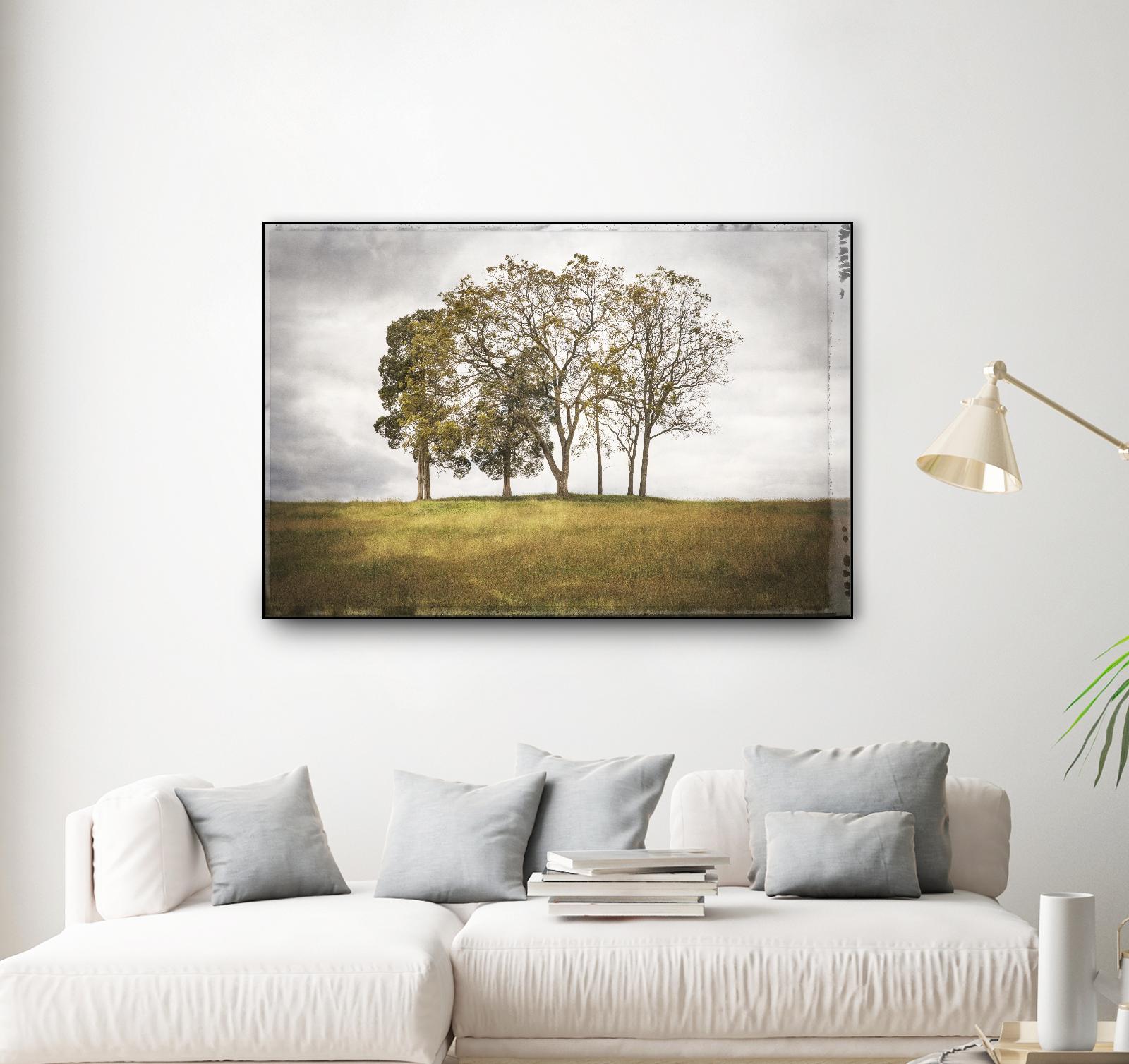 Three Trees by Lillis Werder on GIANT ART - gold landscape