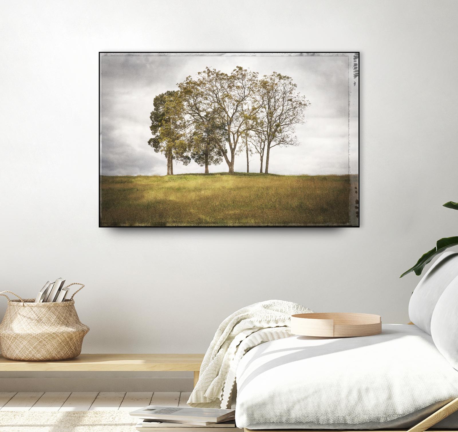 Three Trees by Lillis Werder on GIANT ART - gold landscape