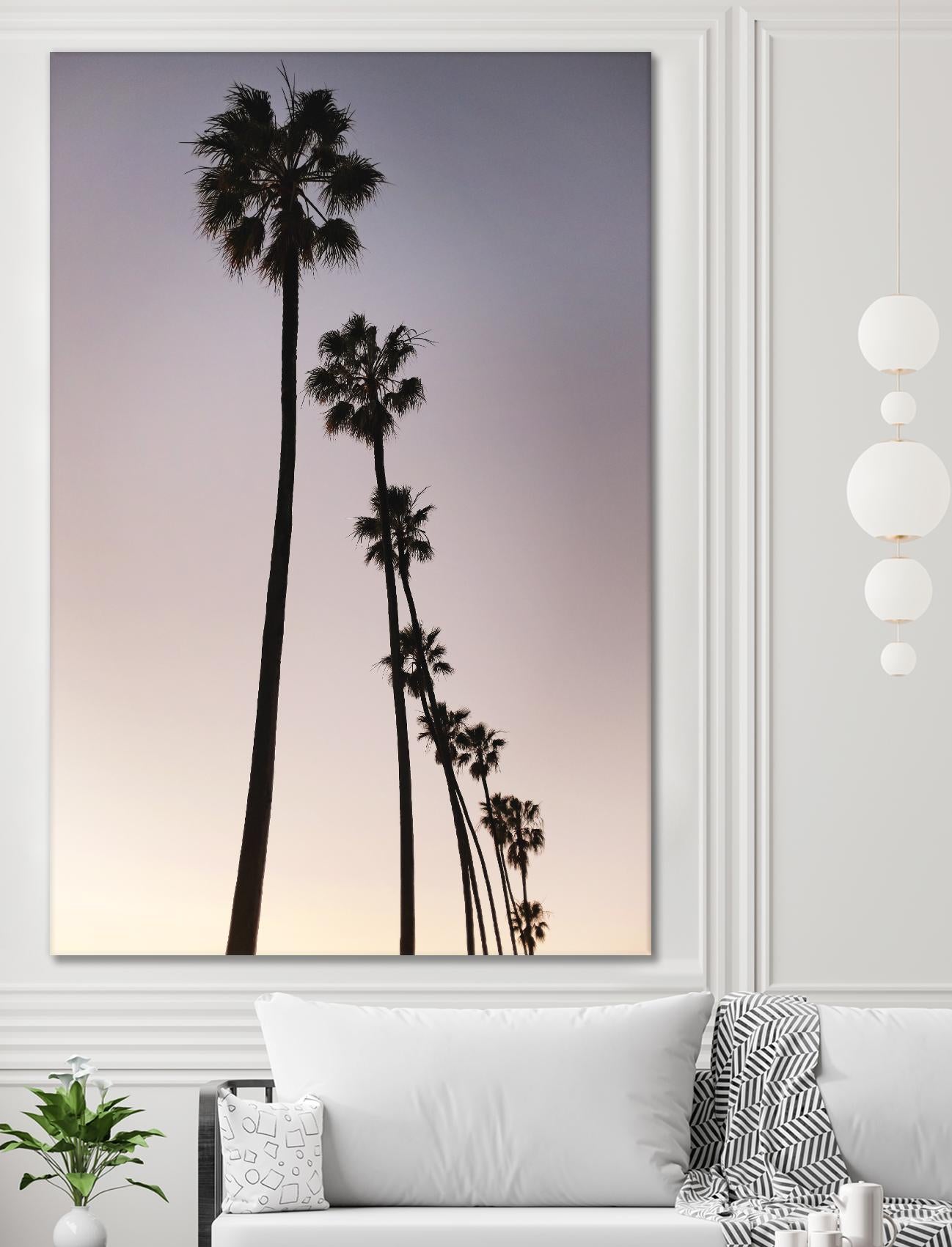 Palm Tree Silhouettes by Lillis Werder on GIANT ART - purple tropical