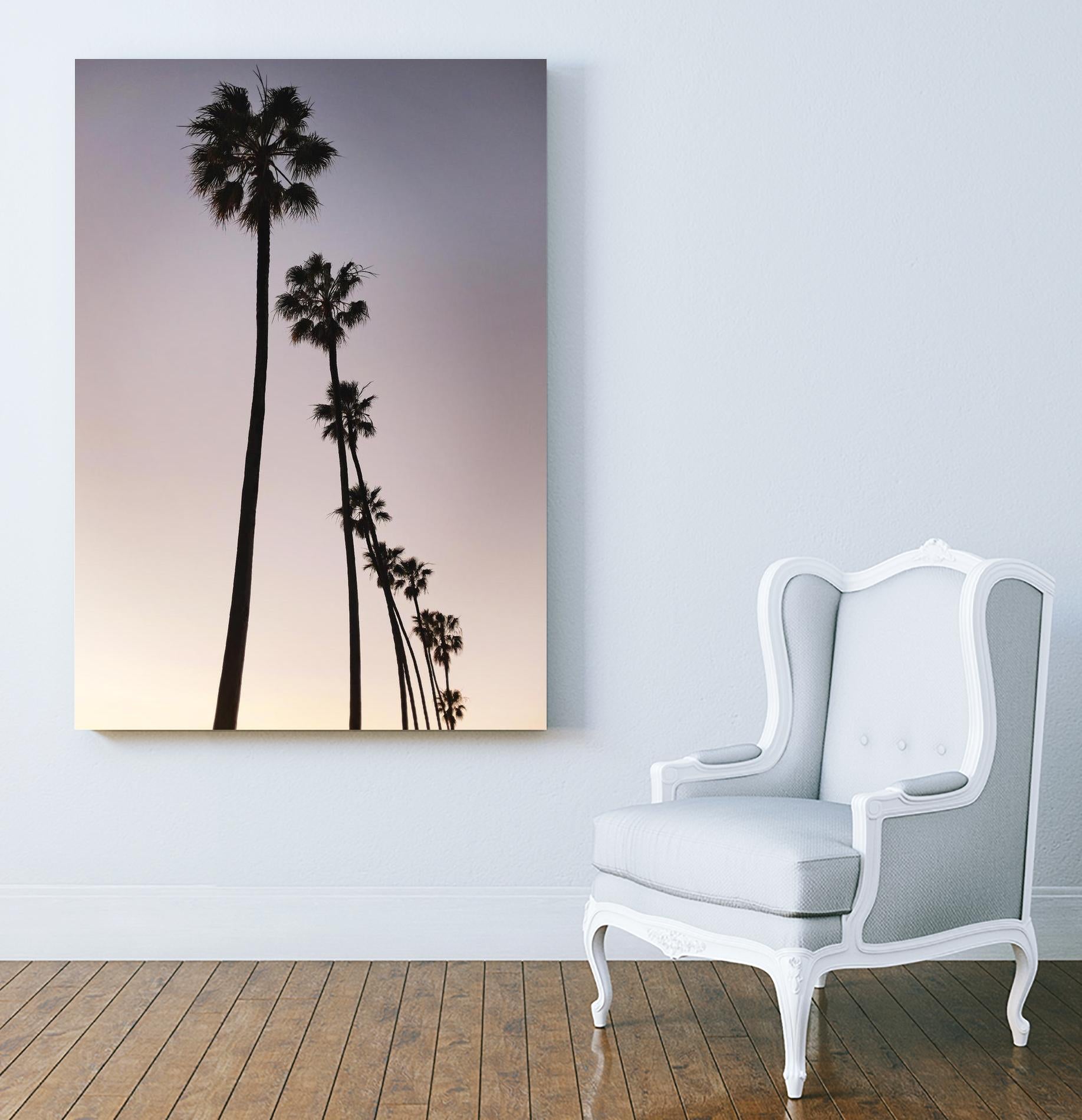 Palm Tree Silhouettes by Lillis Werder on GIANT ART - black tropical