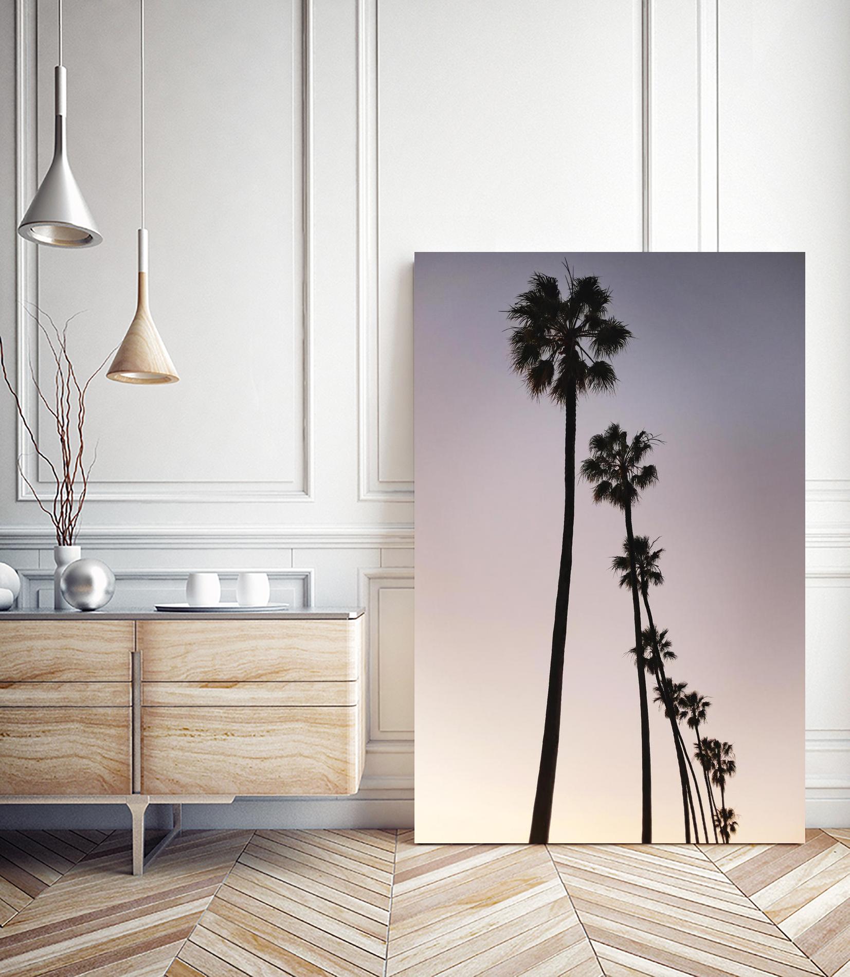 Palm Tree Silhouettes by Lillis Werder on GIANT ART - black tropical