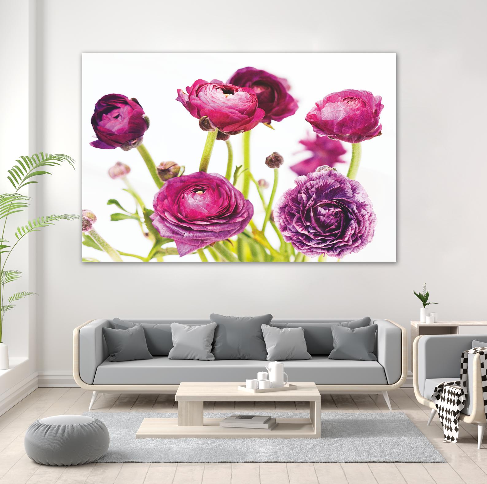 Spring Ranunculus III by Laura Marshall on GIANT ART - green floral