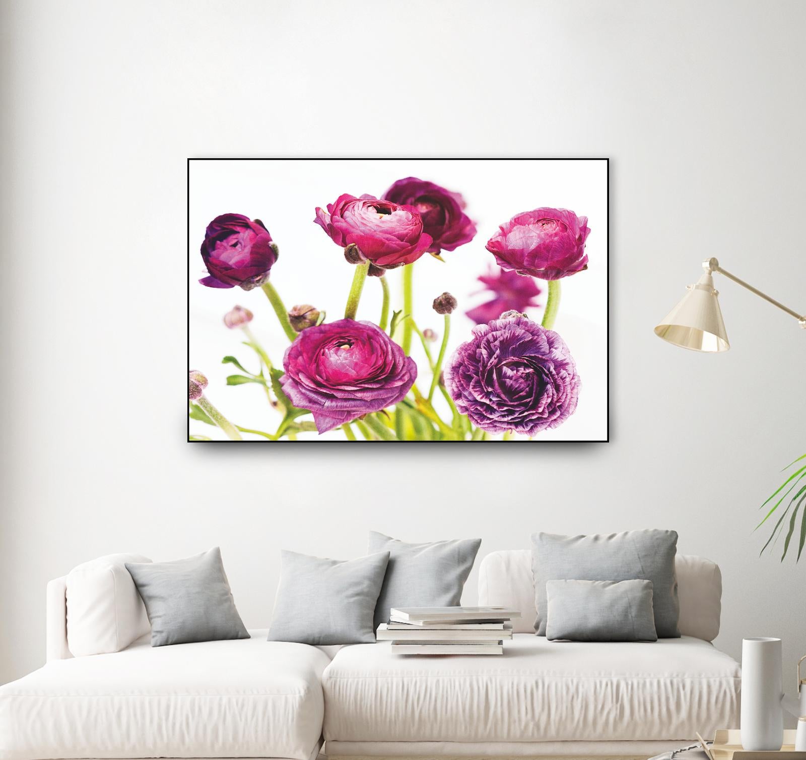 Spring Ranunculus III by Laura Marshall on GIANT ART - green floral