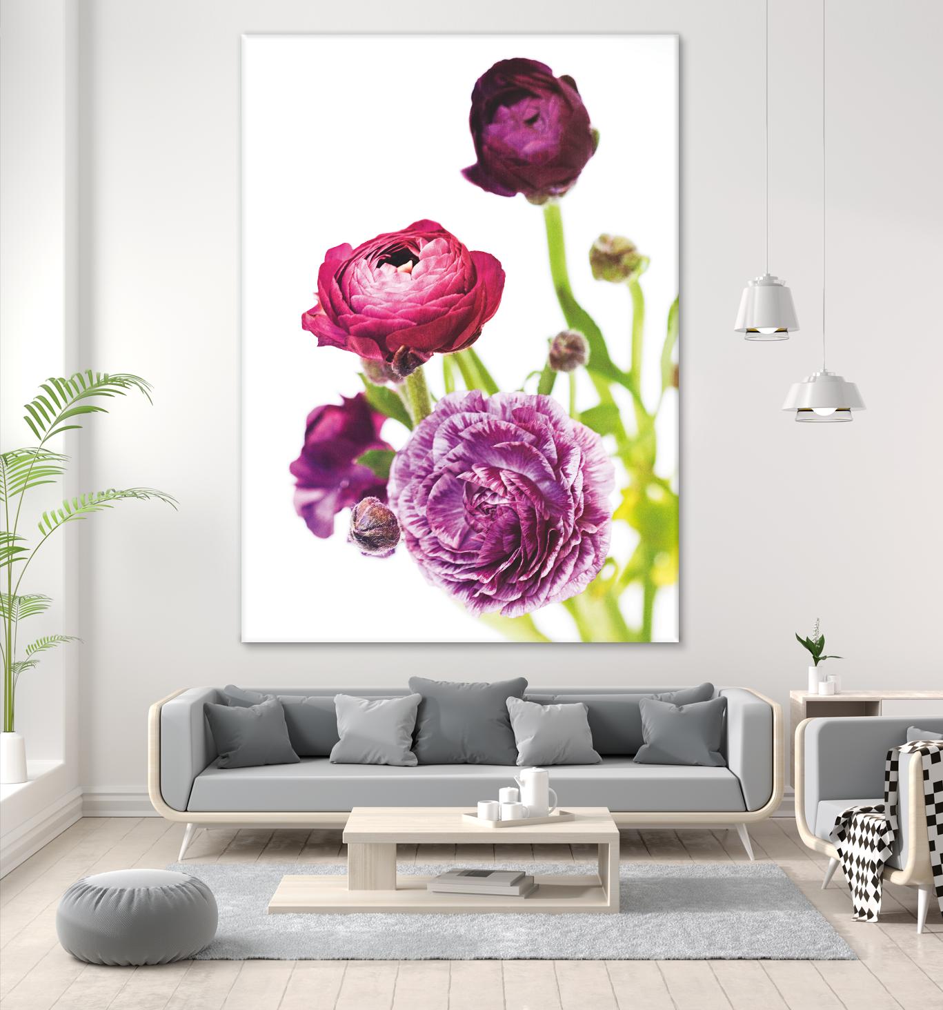 Spring Ranunculus VI by Laura Marshall on GIANT ART - green floral