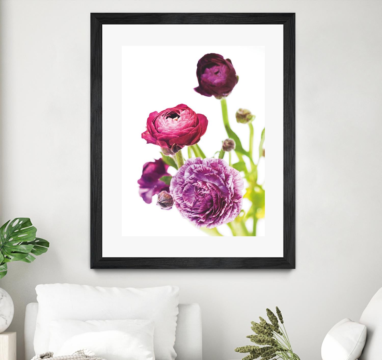 Spring Ranunculus VI by Laura Marshall on GIANT ART - green floral