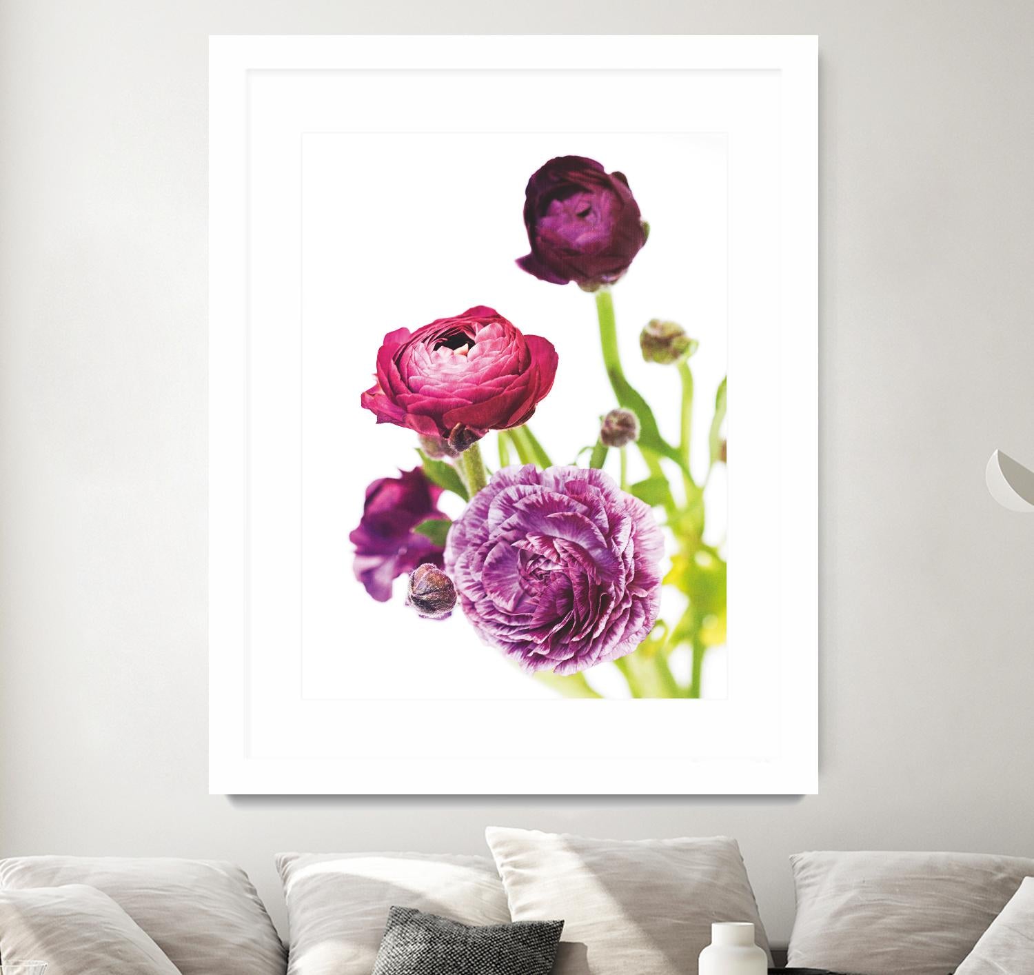 Spring Ranunculus VI by Laura Marshall on GIANT ART - green floral
