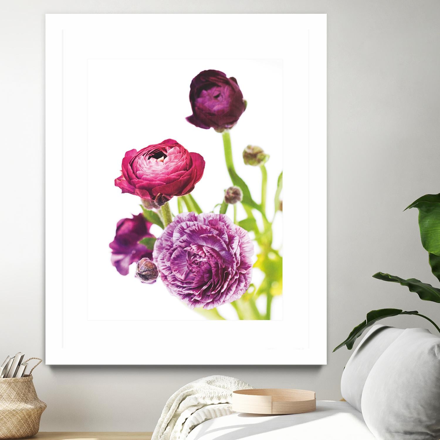 Spring Ranunculus VI by Laura Marshall on GIANT ART - green floral
