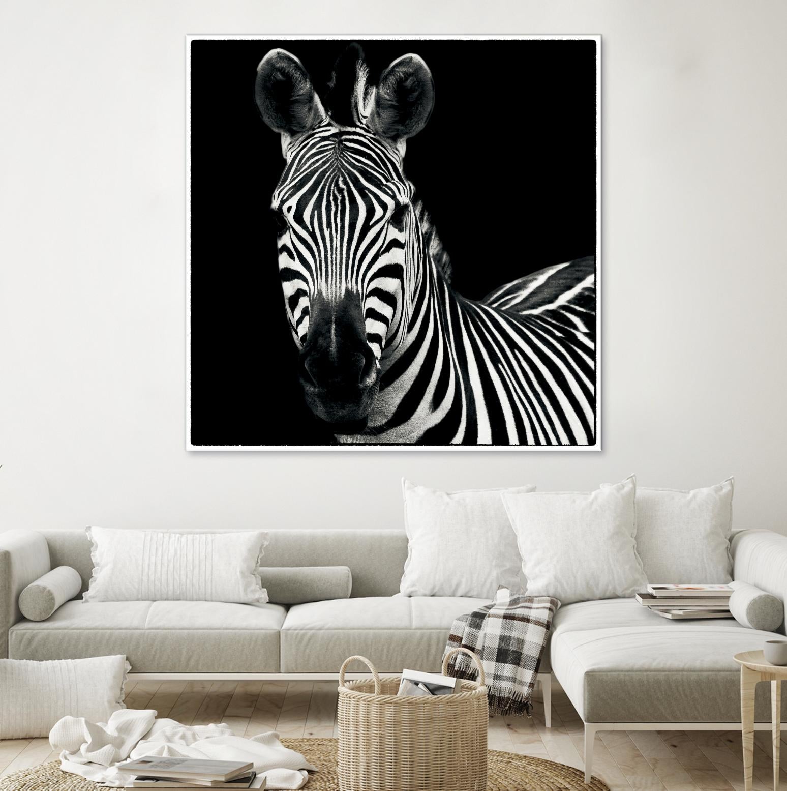 Zebra II by Debra Van Swearingen on GIANT ART - white animals