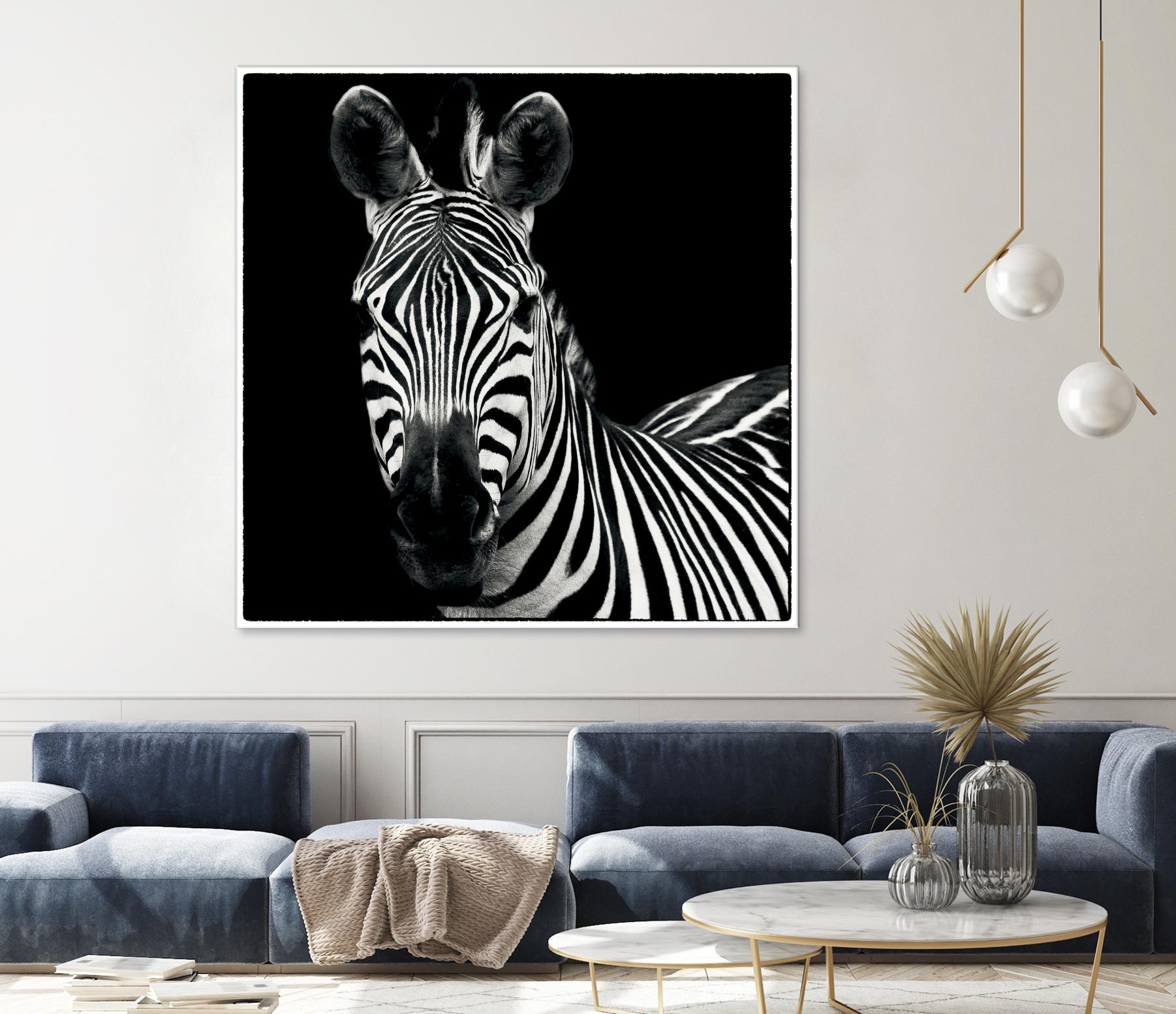 Zebra II by Debra Van Swearingen on GIANT ART - white animals