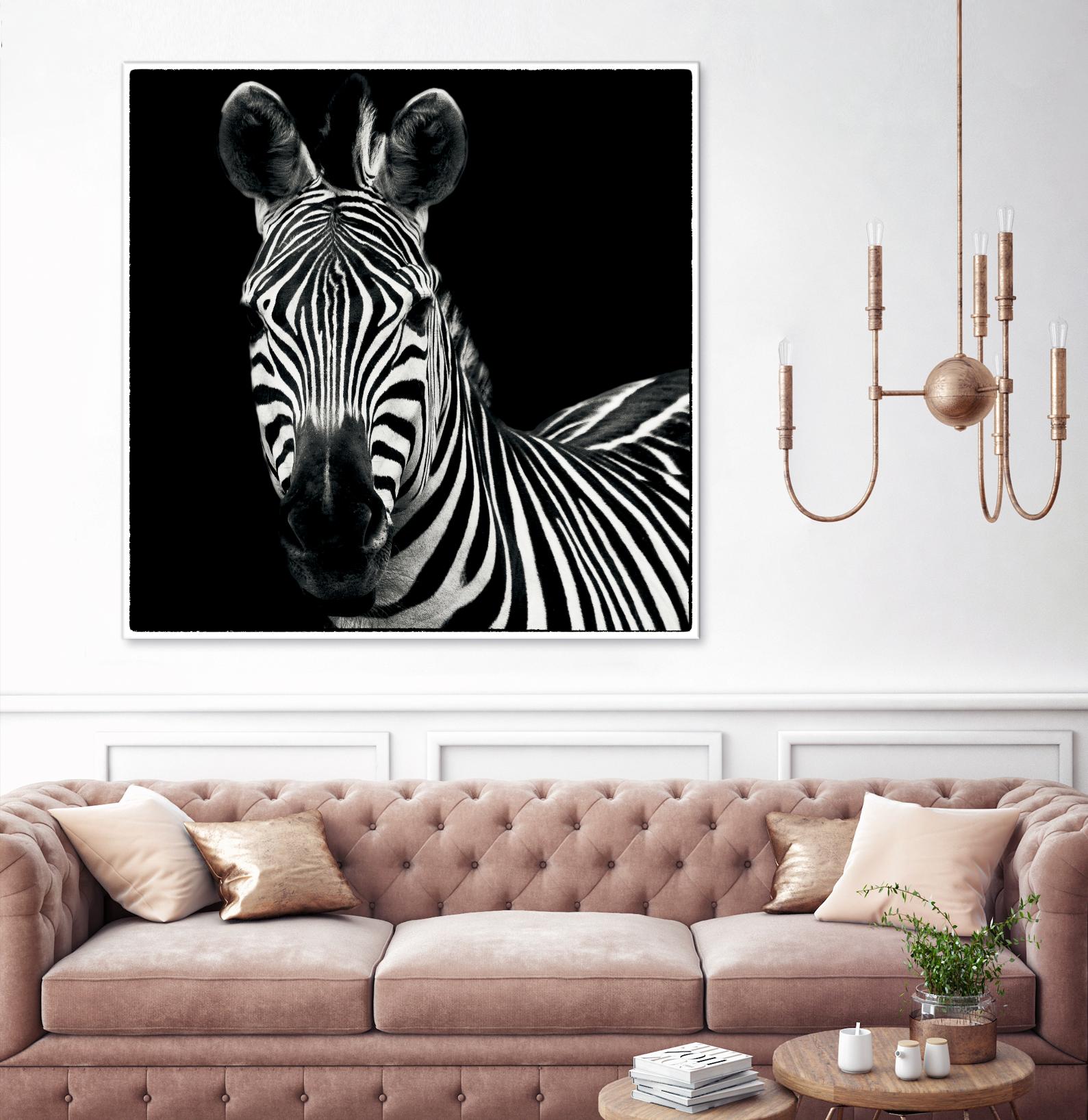 Zebra II by Debra Van Swearingen on GIANT ART - white animals