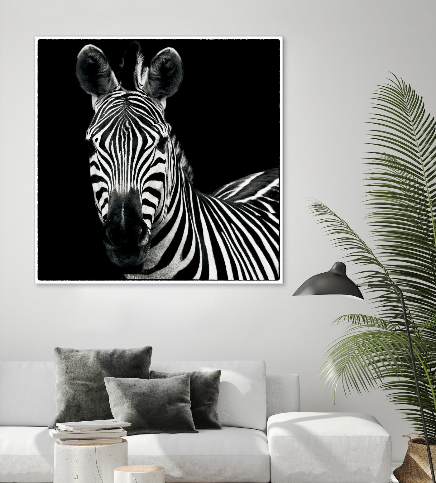 Zebra II by Debra Van Swearingen on GIANT ART - white animals