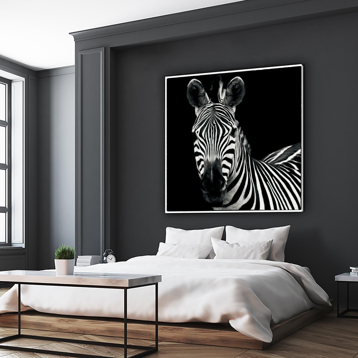 Zebra II by Debra Van Swearingen on GIANT ART - white animals