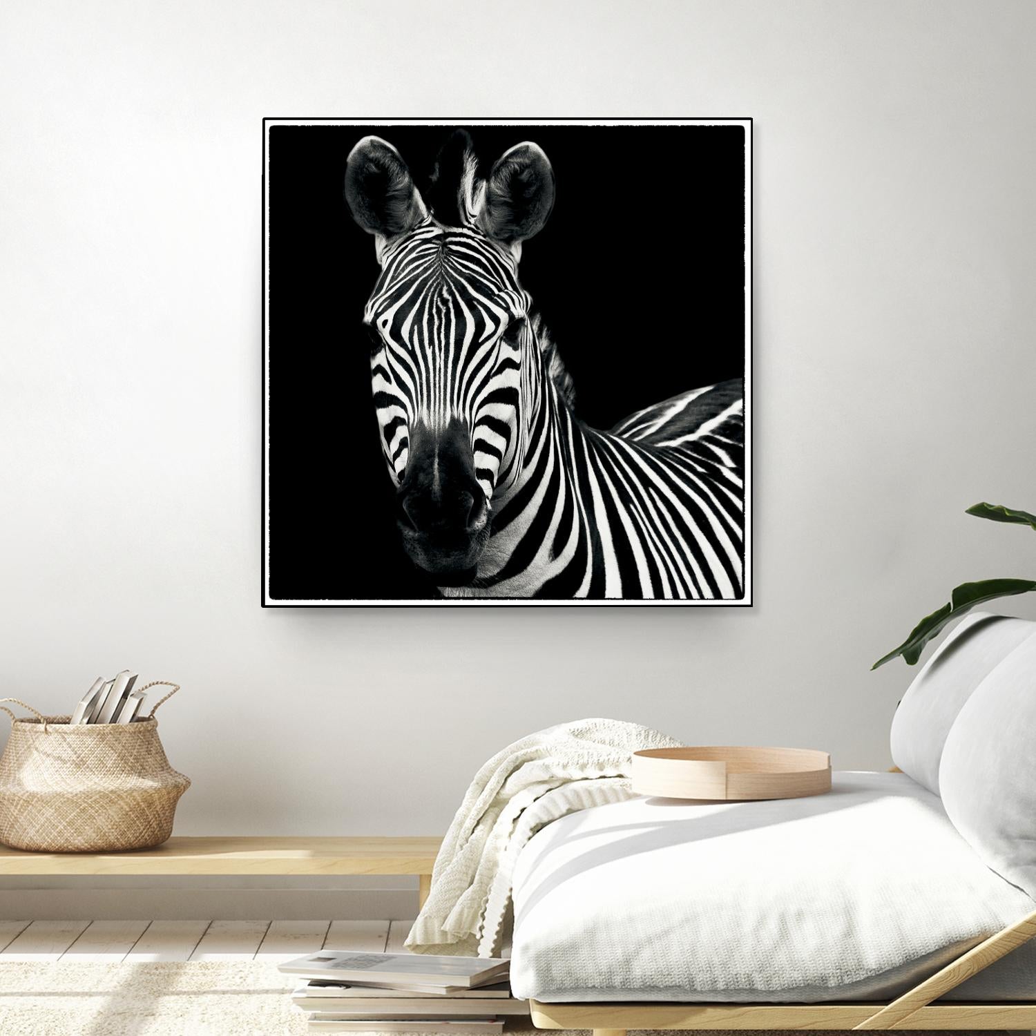 Zebra II by Debra Van Swearingen on GIANT ART - white animals