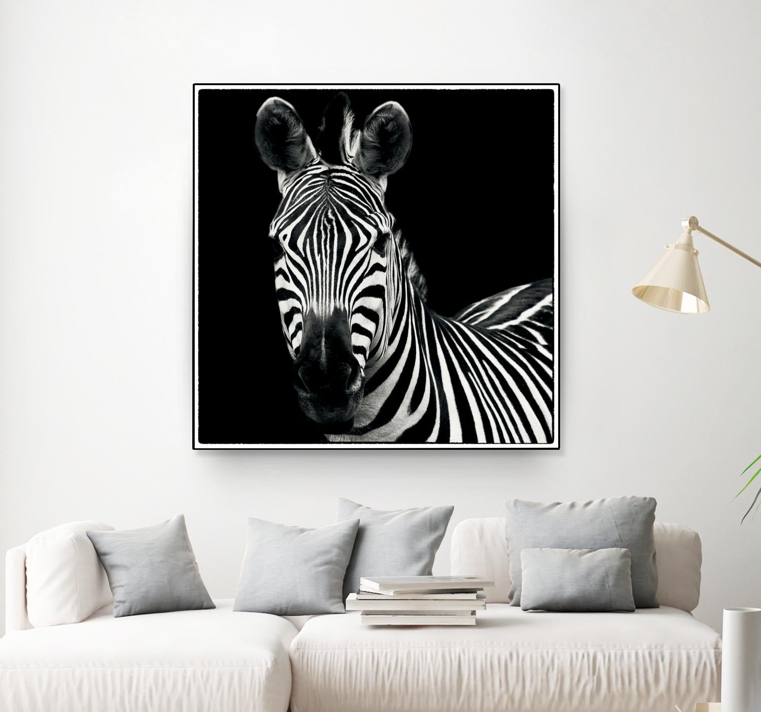 Zebra II by Debra Van Swearingen on GIANT ART - white animals