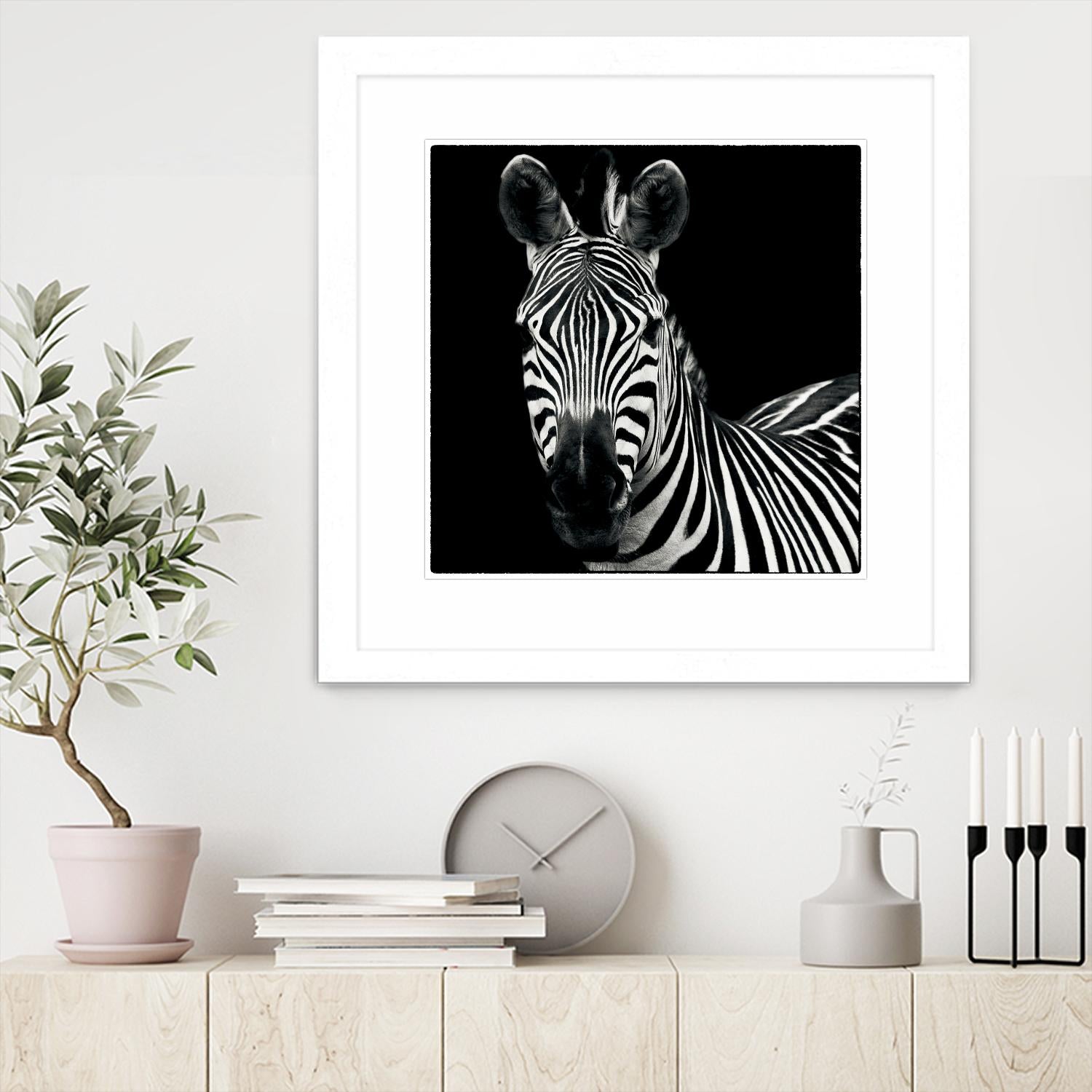 Zebra II by Debra Van Swearingen on GIANT ART - white animals